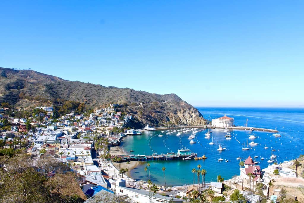 Catalina Island Republic of Rose Style