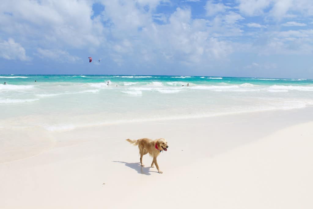 Coco Tulum Mexico Beach Travel Guide