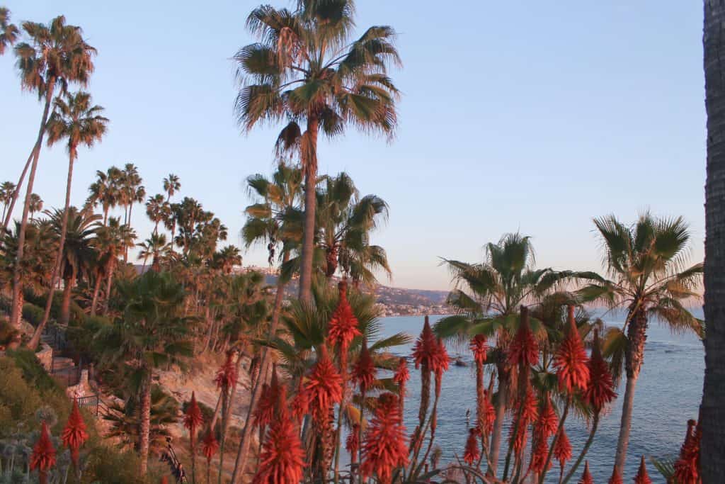 Laguna Beach Travel Guide Republic of Rose