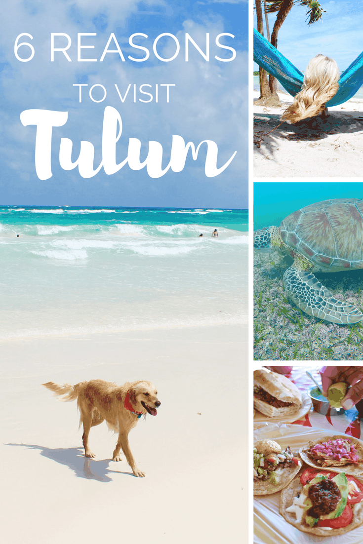 Top 6 Reasons to Visit Tulum Mexico | The Republic of Rose