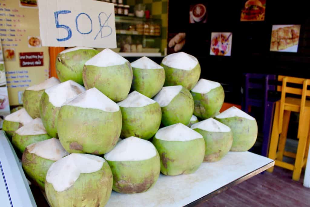 Republic of Rose Beginner's Guide to Thai Food Coconut Fruit