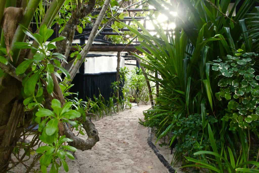 STAYING AT COCO TULUM | THE REPUBLIC OF ROSE