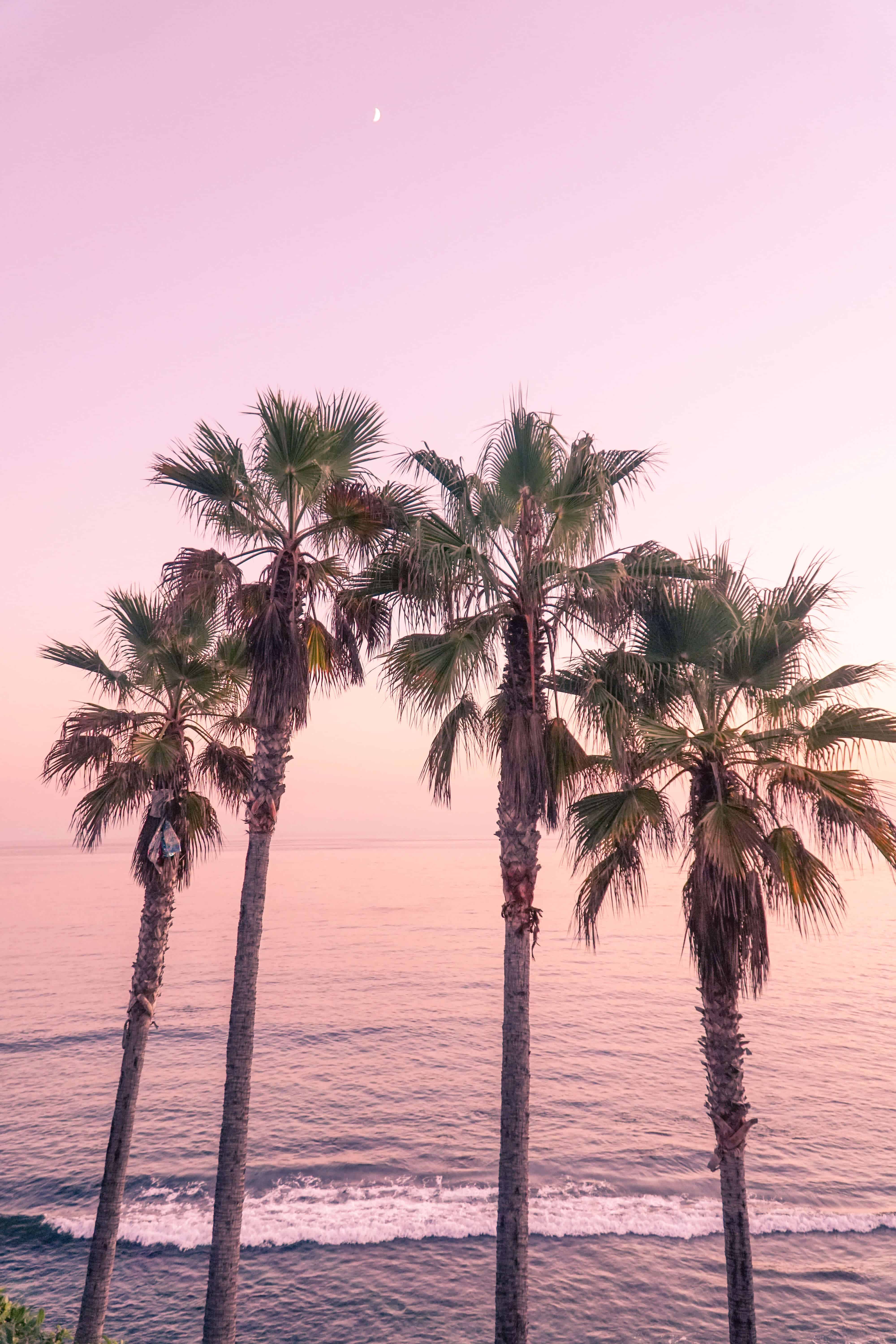 The Ultimate Guide to Laguna Beach California | Laguna Beach Sunset | The Republic of Rose | #LagunaBeach #California