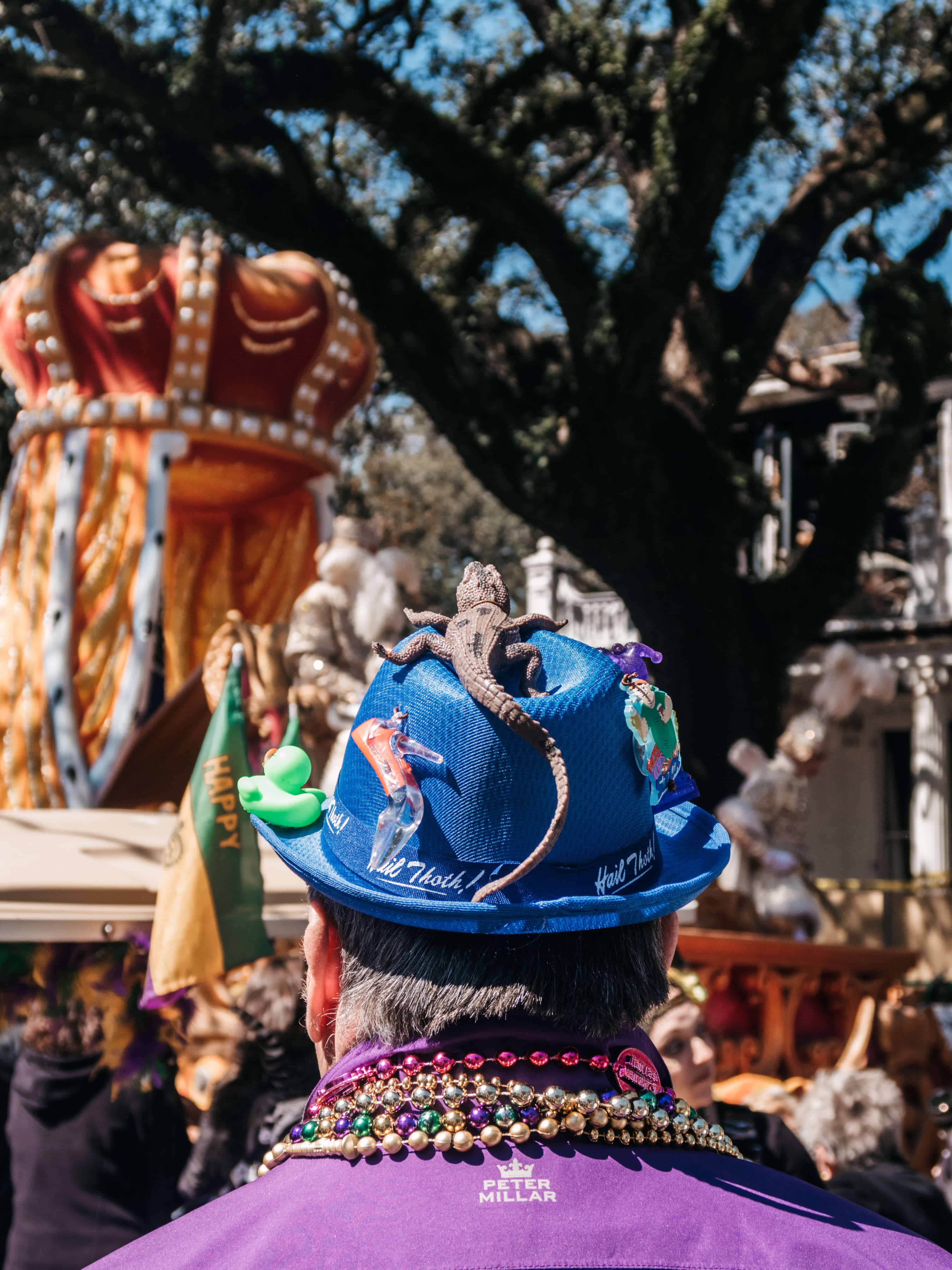 Lizard Hat Costume on Fat Tuesday | What to Expect at Mardi Gras