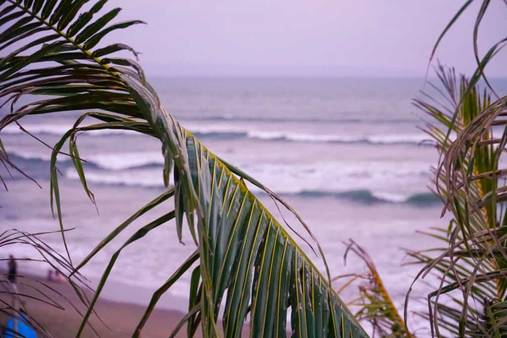 Lounging at The Lawn Canggu | The Republic of Rose