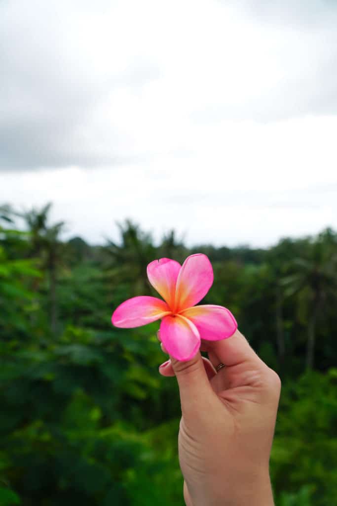 Amazing Photos to Inspire You to Visit Bali | The Republic of Rose