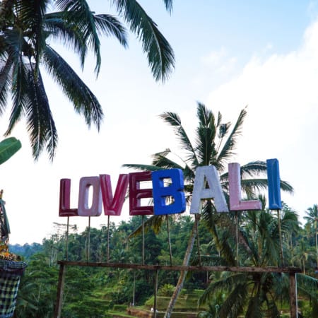 Ubud Tegalalang Rice Terrace | Amazing Photos to Inspire You to Visit Bali | The Republic of Rose