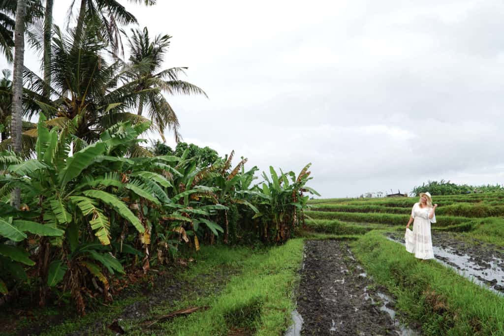 Top 10 Things to Do in Canggu | The Republic of Rose