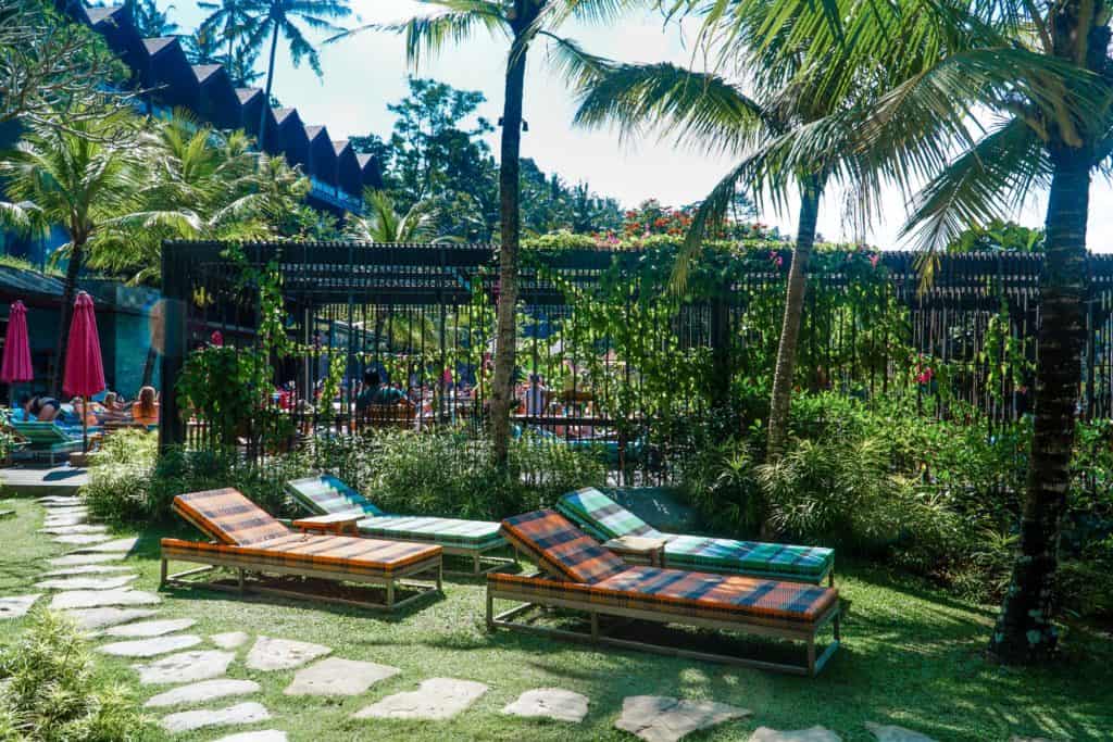 A DAY AT JUNGLE FISH IN UBUD | The Republic of Rose