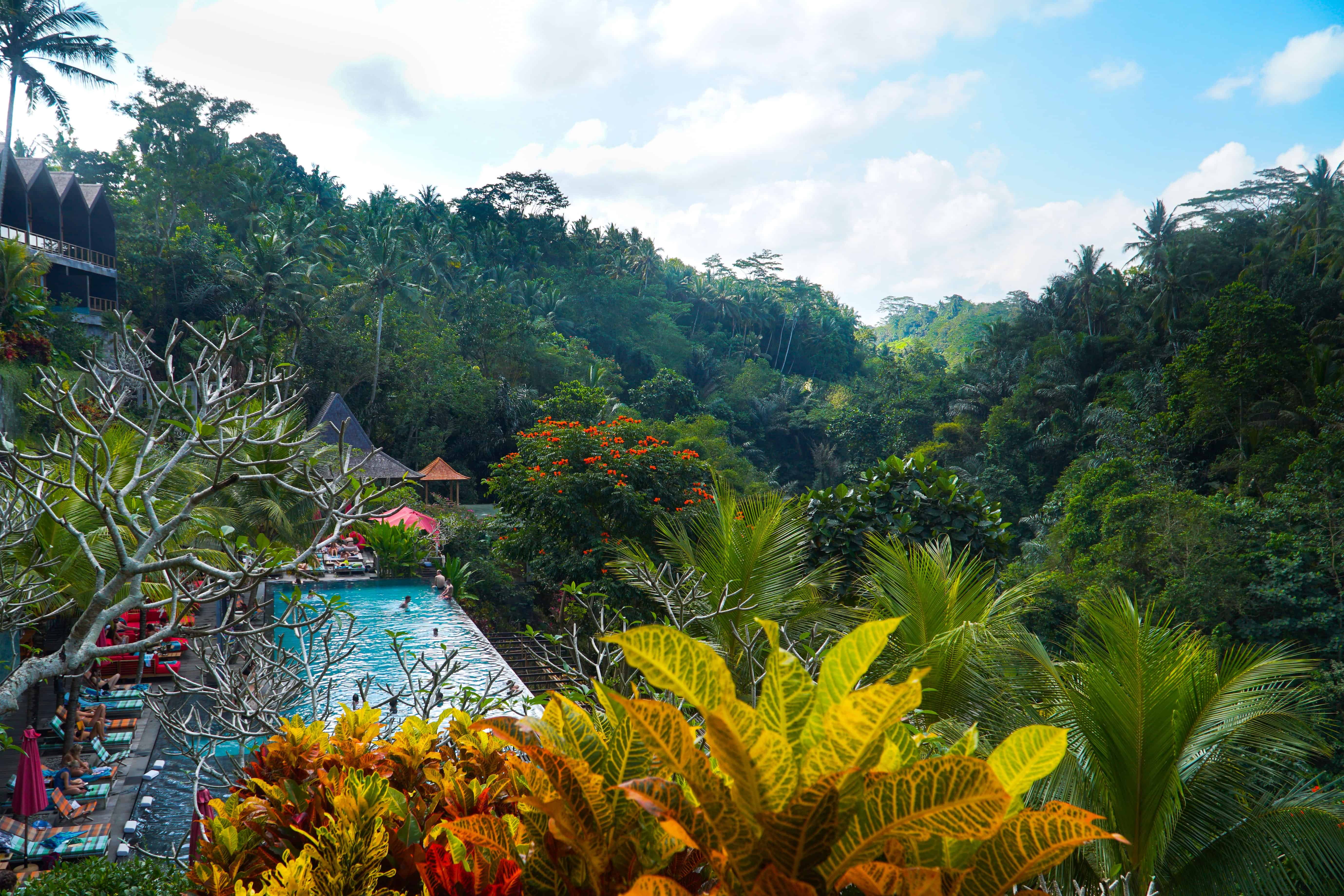 A DAY AT JUNGLE FISH IN UBUD | The Republic of Rose
