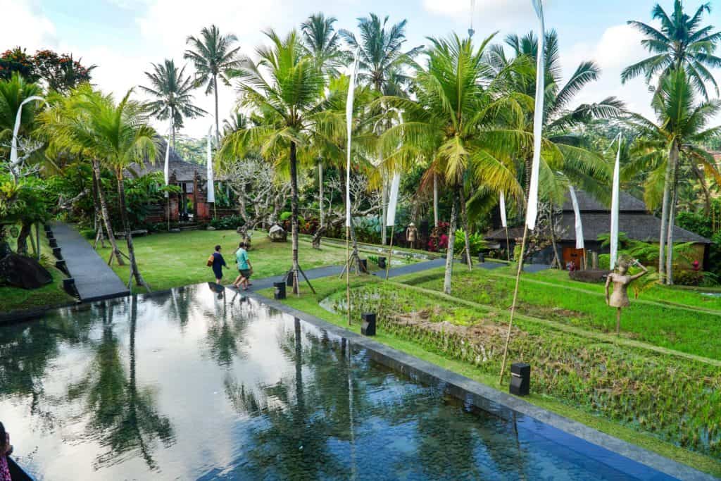 A DAY AT JUNGLE FISH IN UBUD | The Republic of Rose