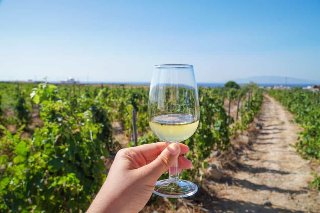 A Day Domaine Sigalas in Santorini | The Republic of Rose