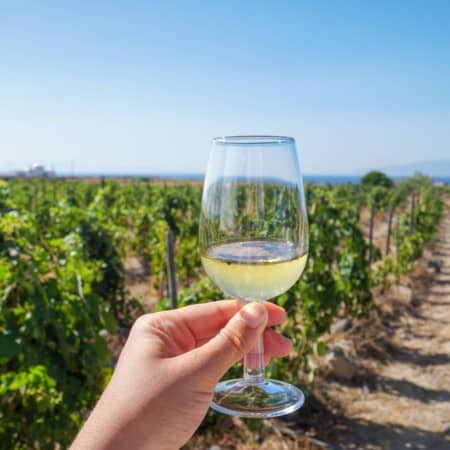 A Day Domaine Sigalas in Santorini | The Republic of Rose