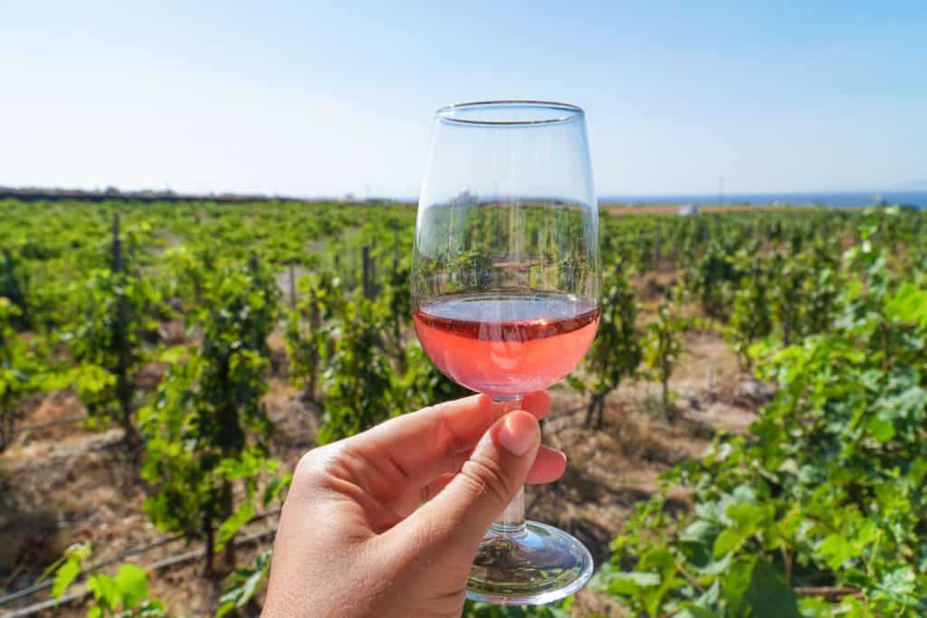 A Day Domaine Sigalas in Santorini | The Republic of Rose