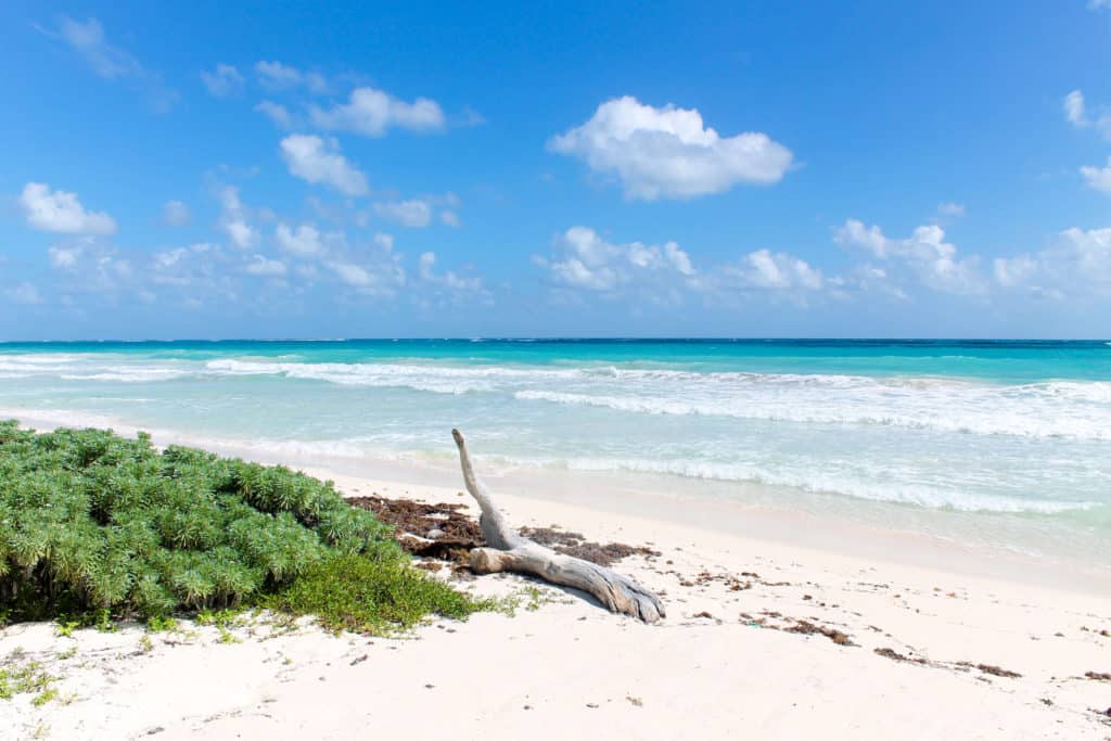 Top Day Trips From Tulum Mexico | Sian Ka'an | The Republic of Rose