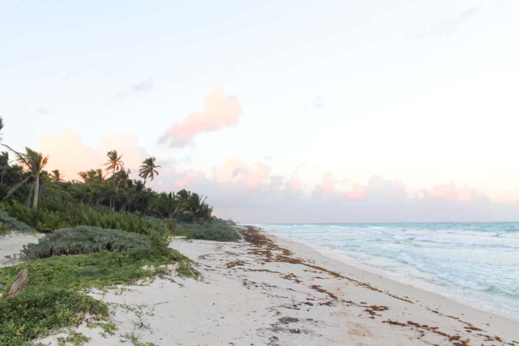 Top Day Trips From Tulum Mexico | Sian Ka'an | The Republic of Rose