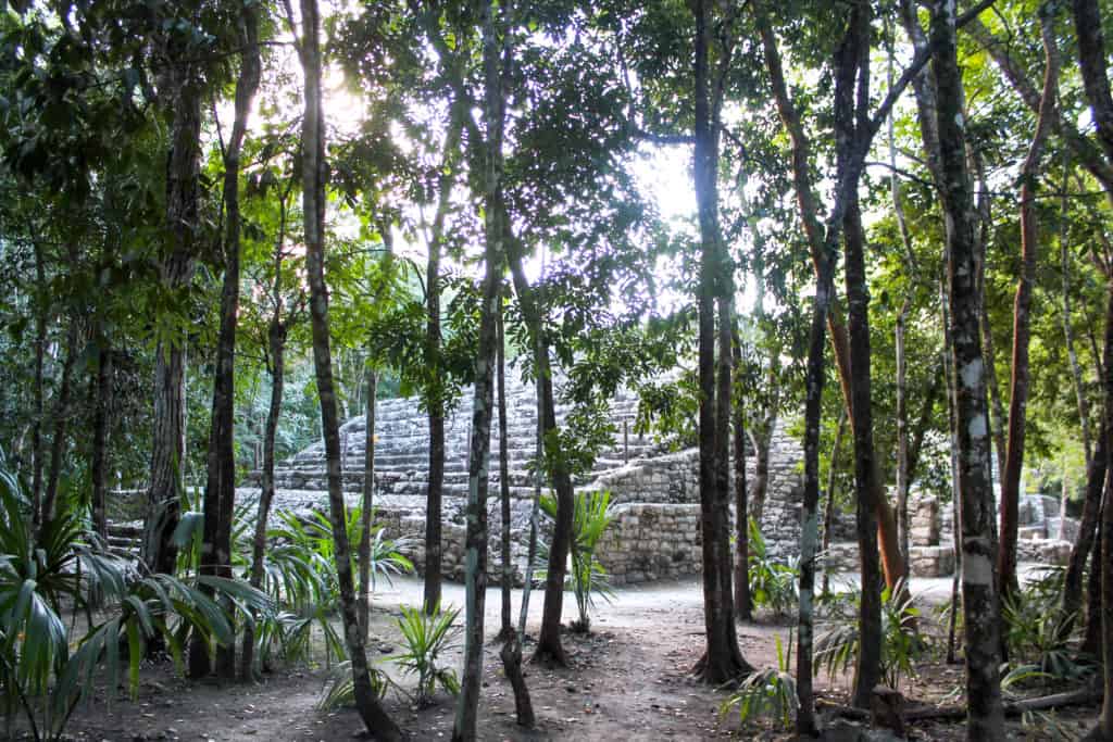 Top Day Trips From Tulum Mexico | Coba Ruins | The Republic of Rose