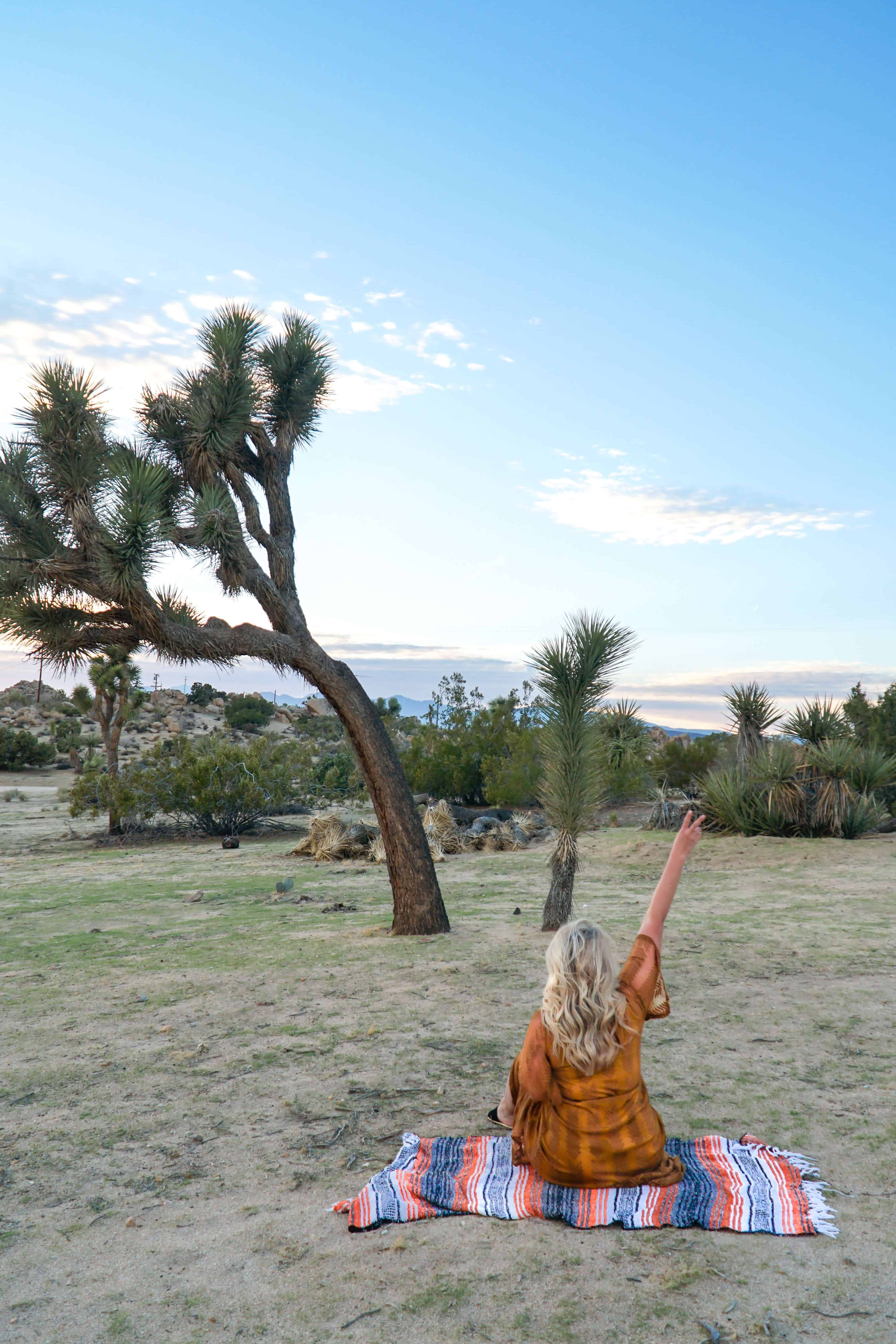 The Ultimate Guide to Joshua Tree | The Republic of Rose