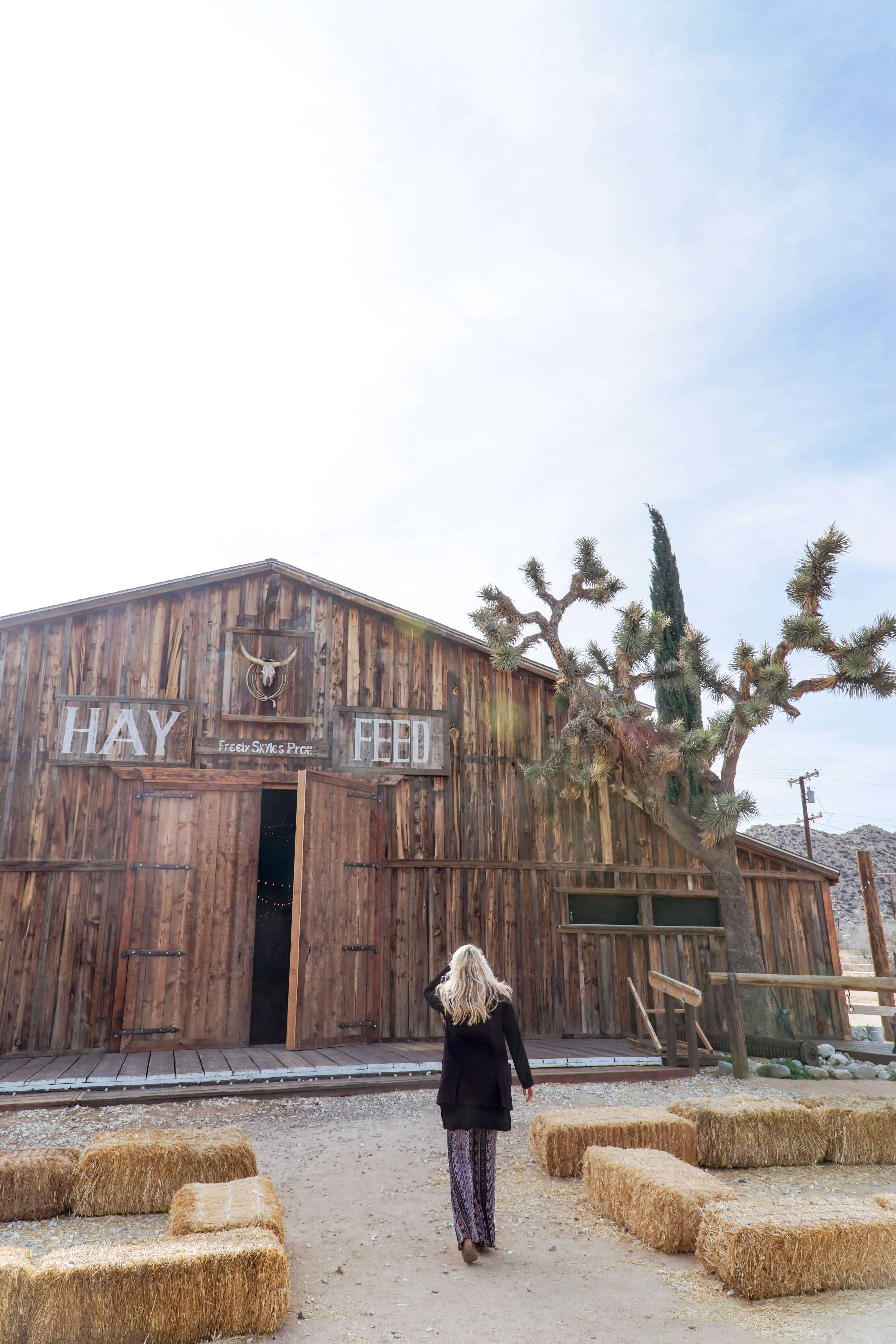 The Ultimate Guide to Joshua Tree | The Republic of Rose