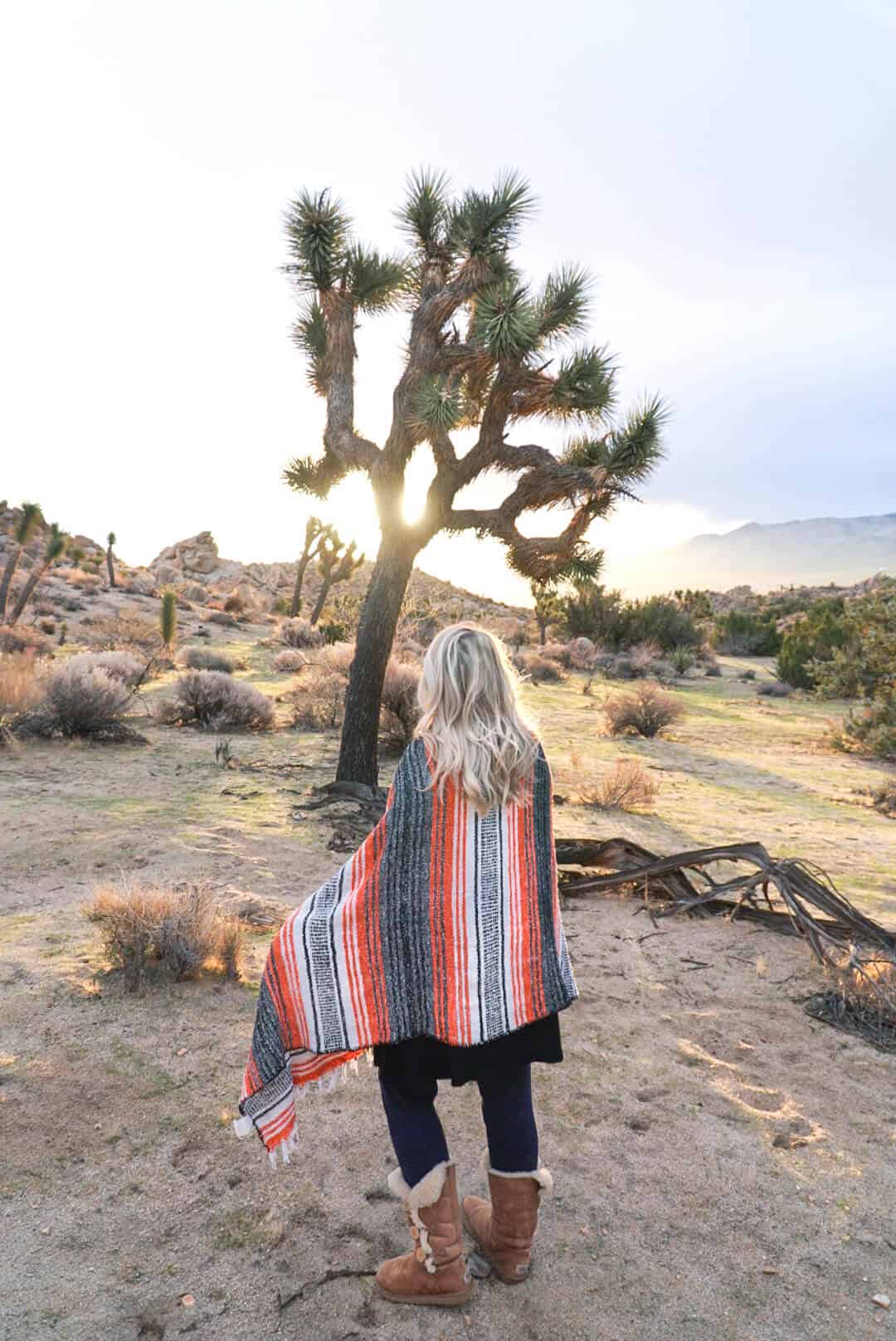 The Ultimate Guide to Joshua Tree | The Republic of Rose