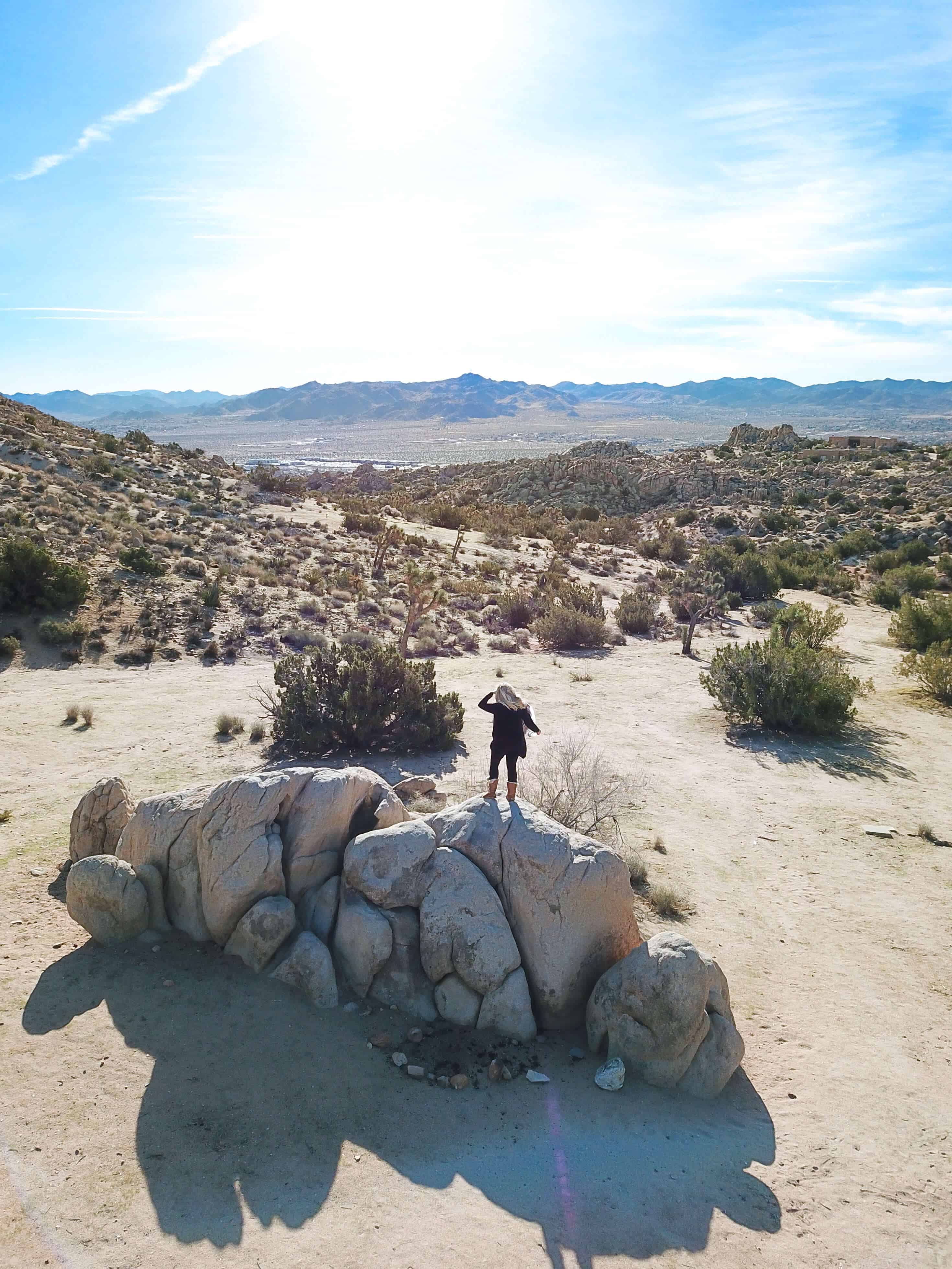 The Ultimate Guide to Joshua Tree | The Republic of Rose