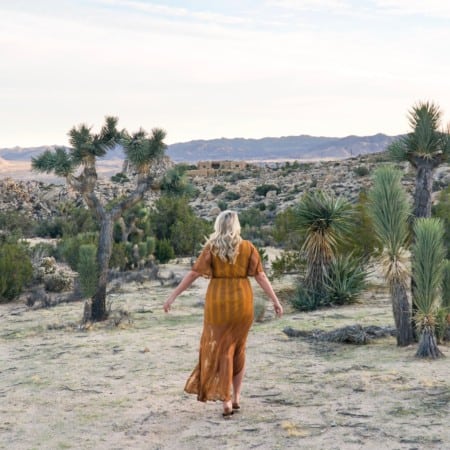 The Ultimate Guide to Joshua Tree | The Republic of Rose