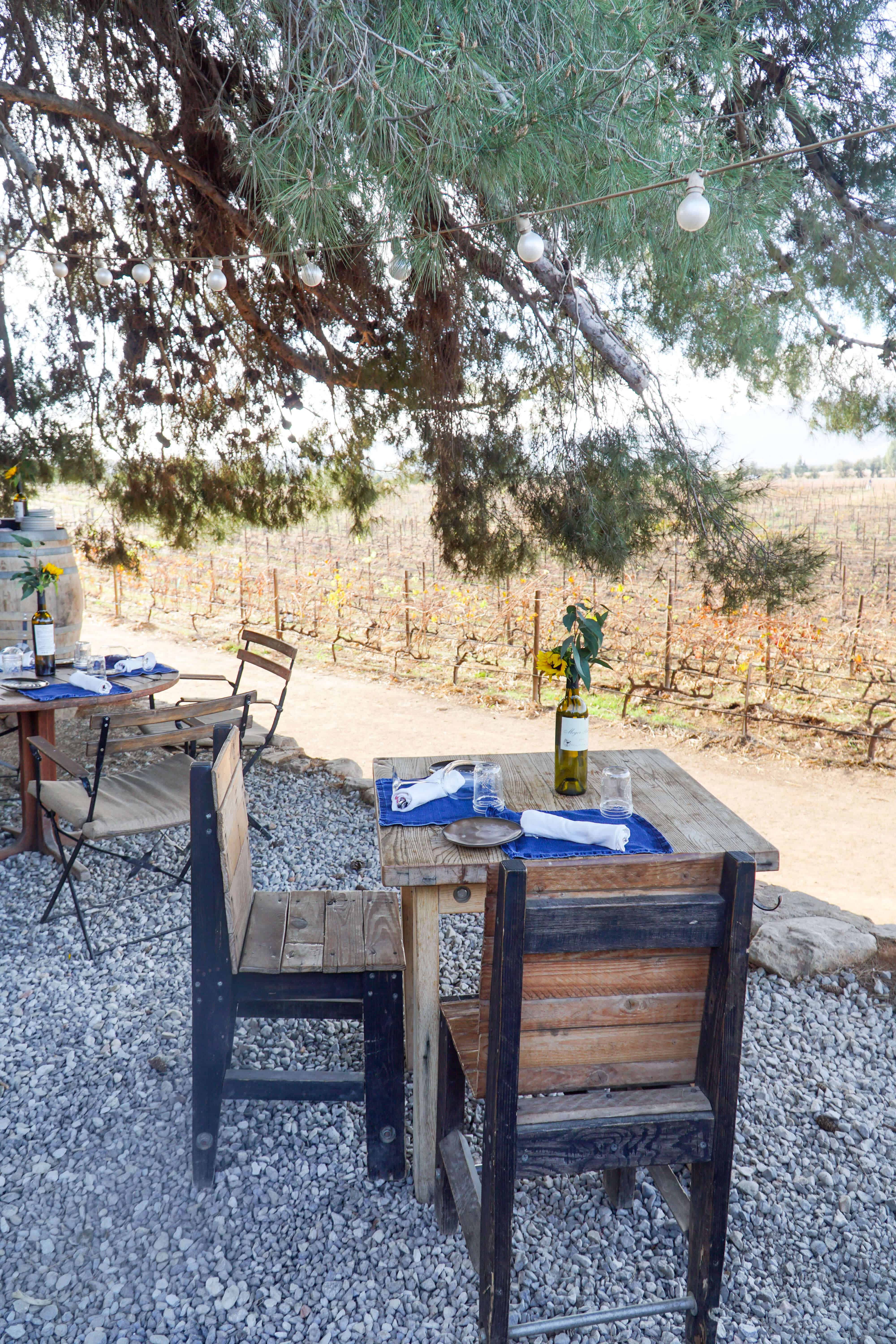 Dining at Deckman's in Valle de Guadalupe | Baja Mexico | The Republic of Rose