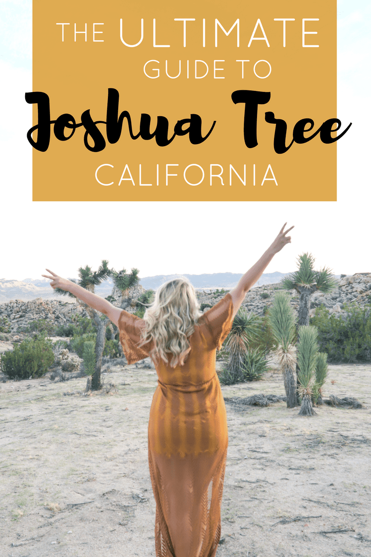 The Ultimate Guide to Joshua Tree | The Republic of Rose