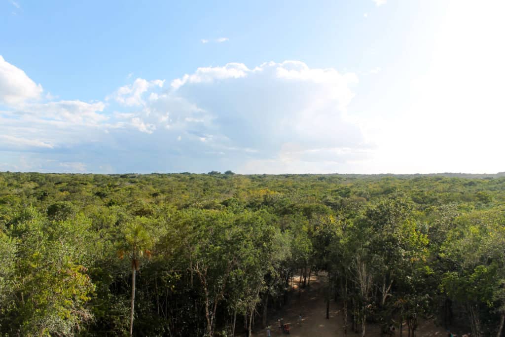 Visiting the Coba Ruins in Mexico | The Republic of Rose