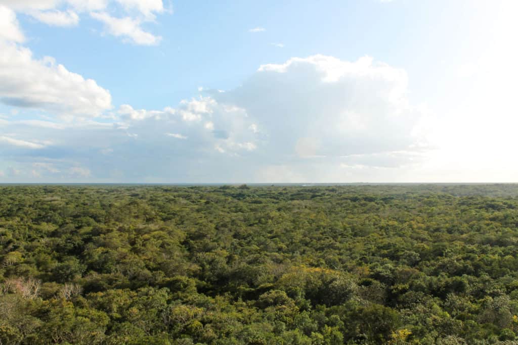 Visiting the Coba Ruins in Mexico | The Republic of Rose