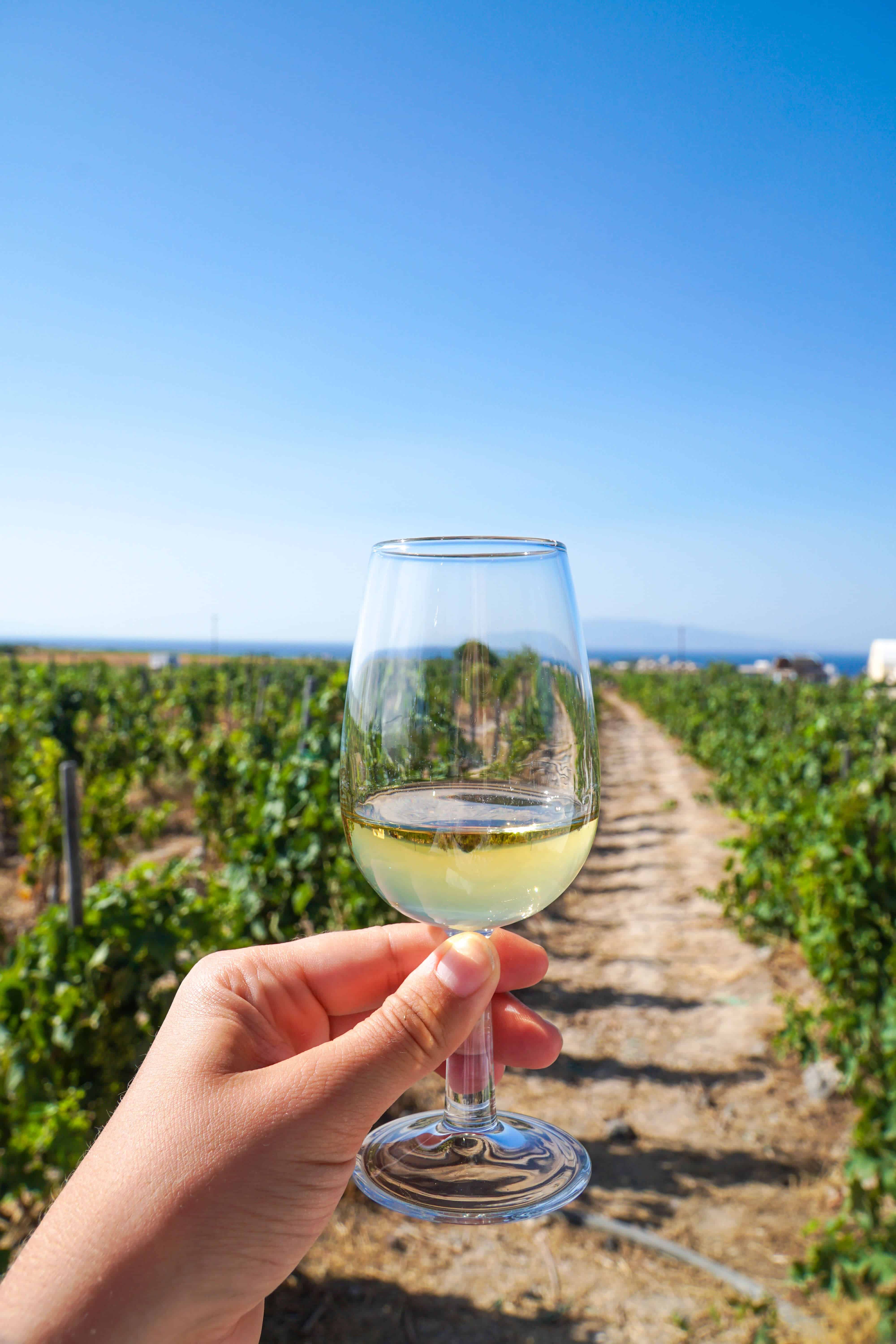 Santorini in 20 Photos | Wine tasting | The Republic of Rose