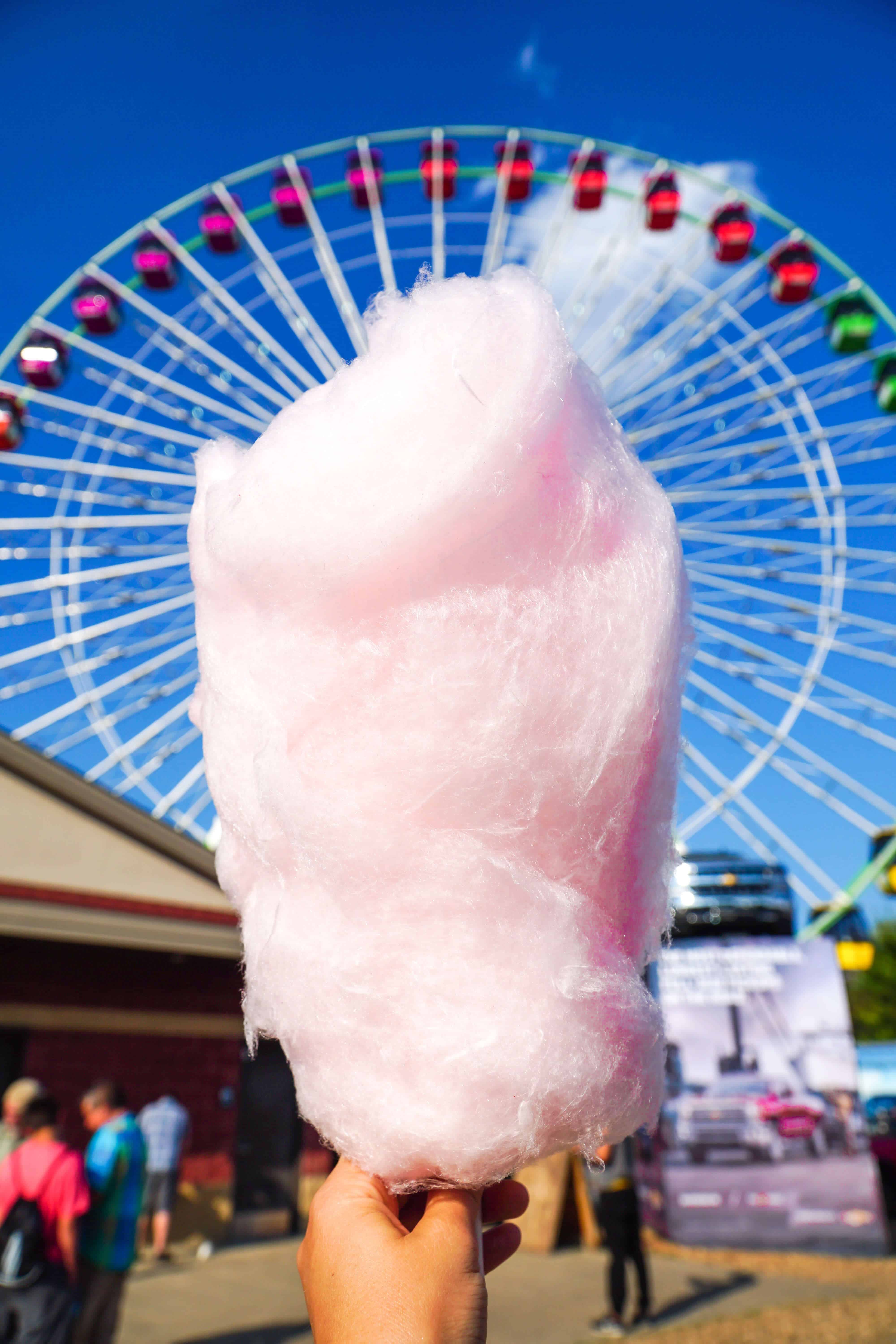 GUIDE TO THE MINNESOTA STATE FAIR | The Republic of Rose