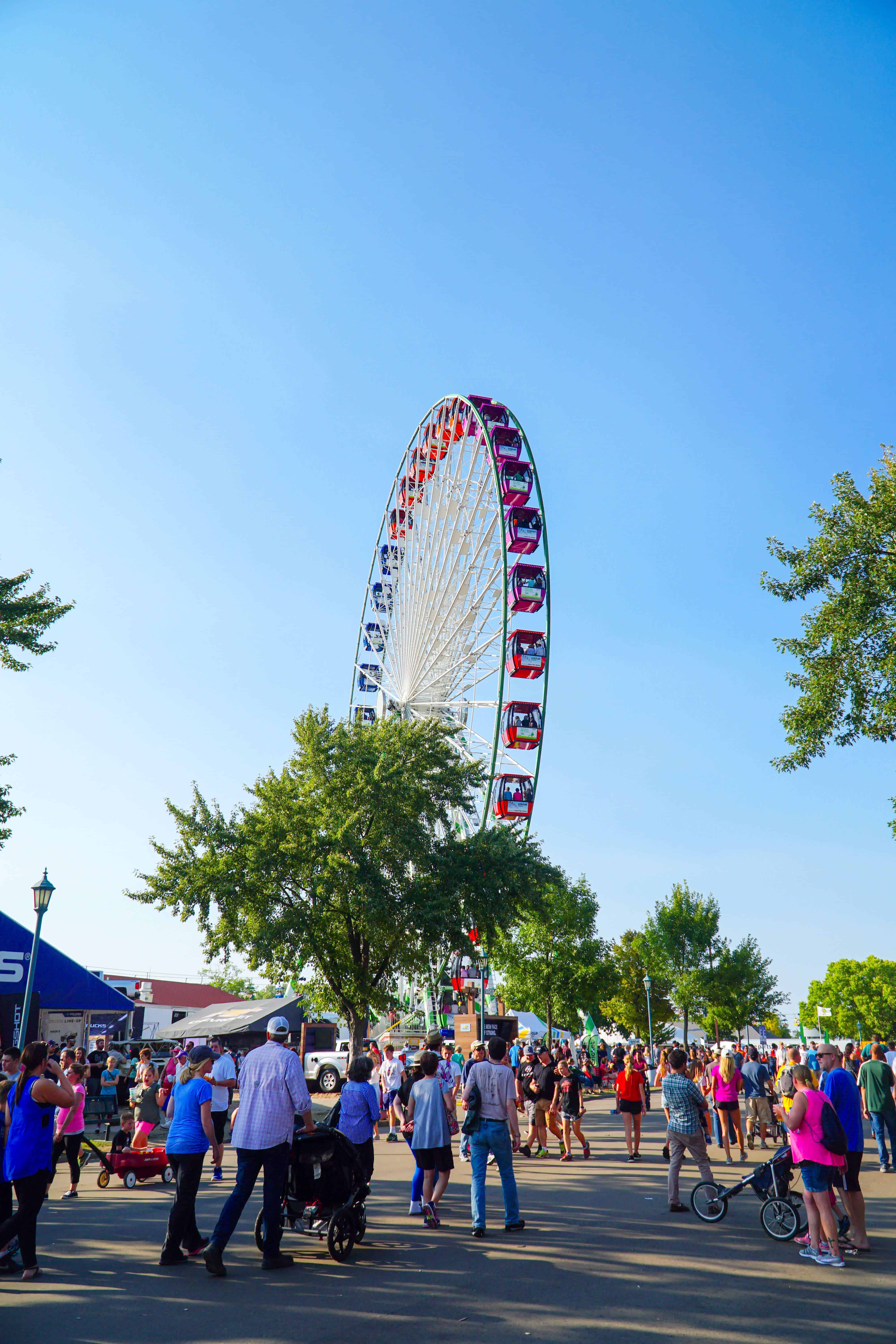 GUIDE TO THE MINNESOTA STATE FAIR | The Republic of Rose