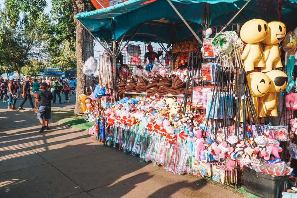 GUIDE TO THE MINNESOTA STATE FAIR | The Republic of Rose