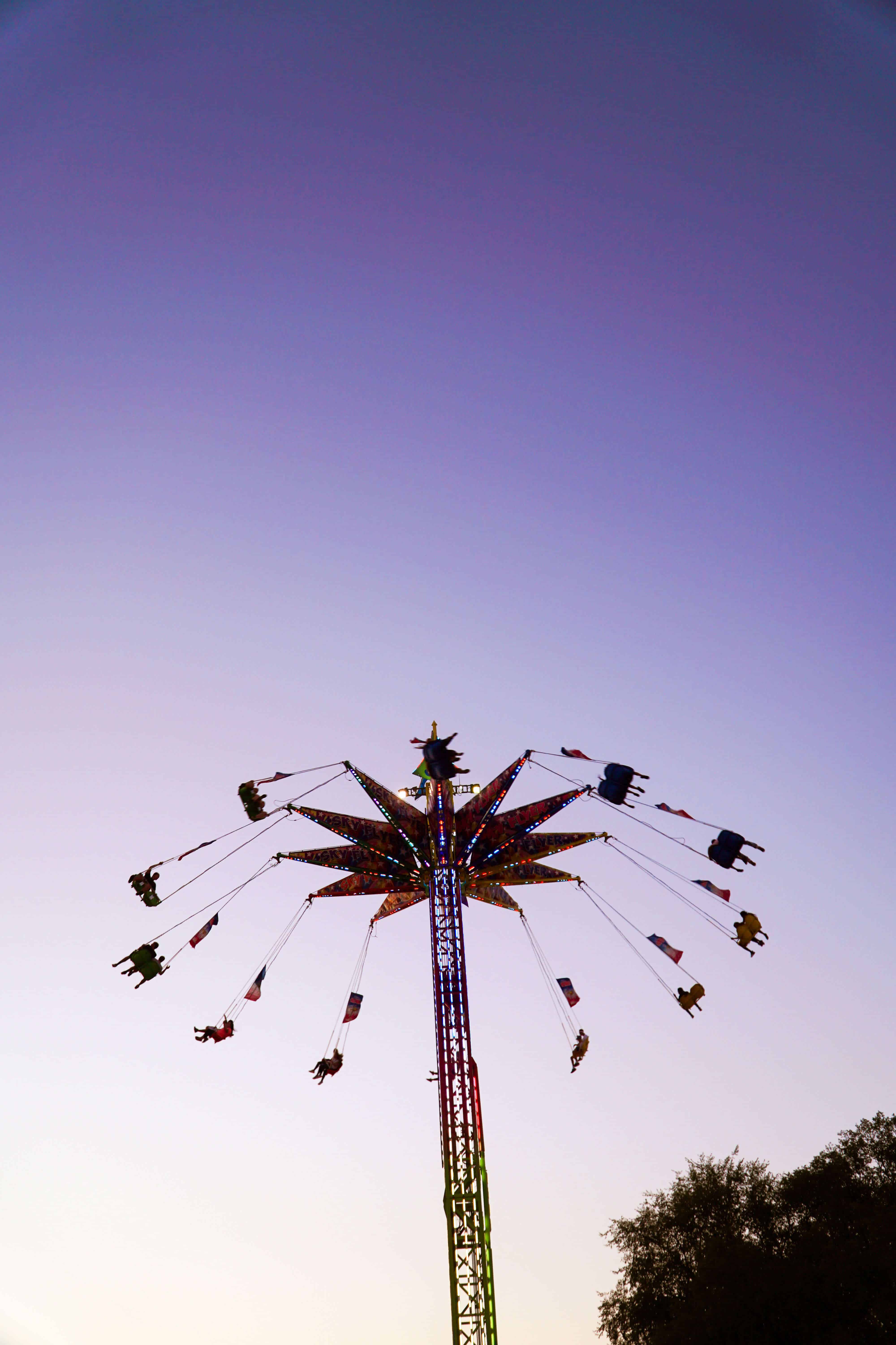 GUIDE TO THE MINNESOTA STATE FAIR | The Republic of Rose