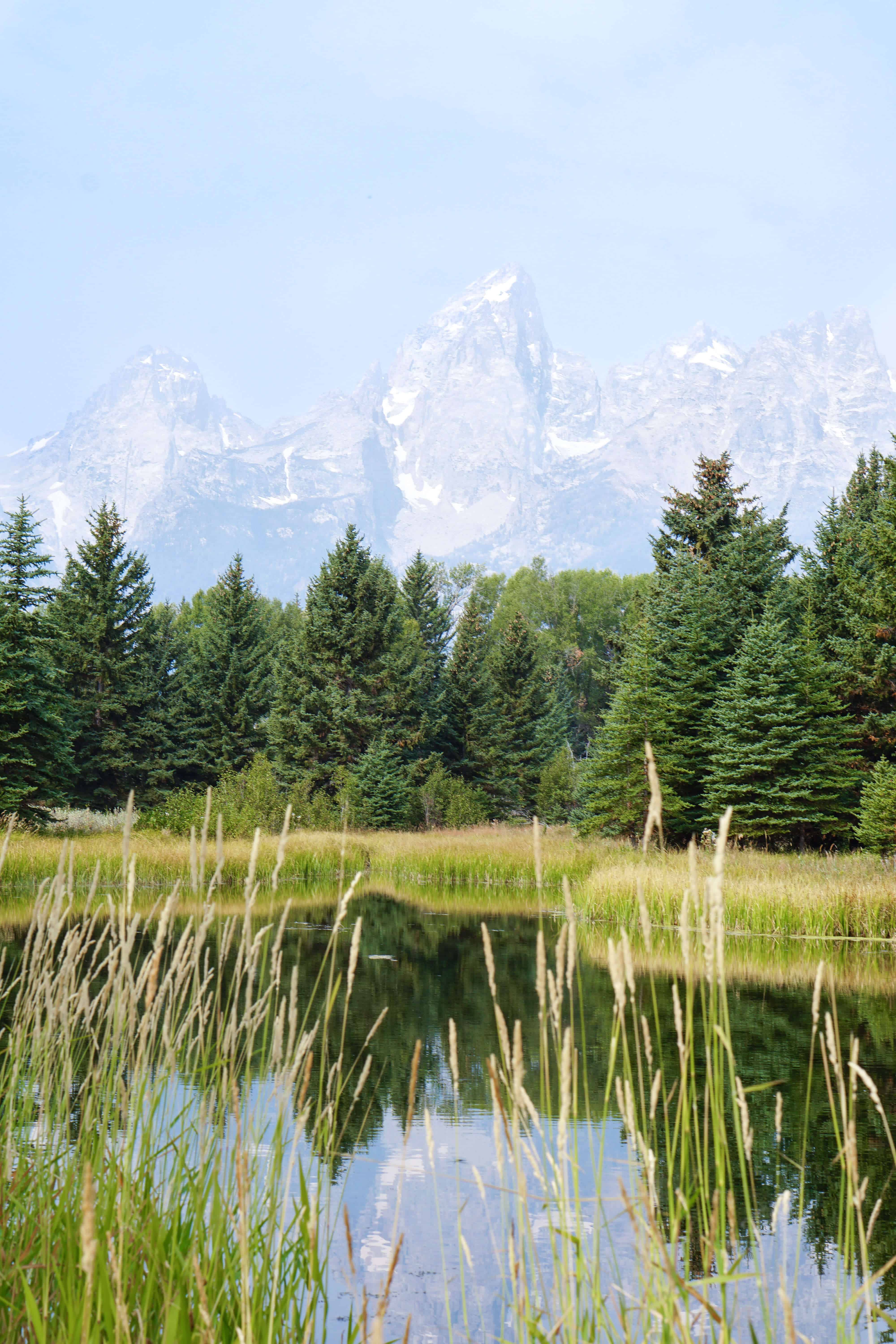 GUIDE TO JACKSON HOLE IN THE SUMMER | The Republic of Rose | #Travel #Jackson #JacksonHole #Wyoming