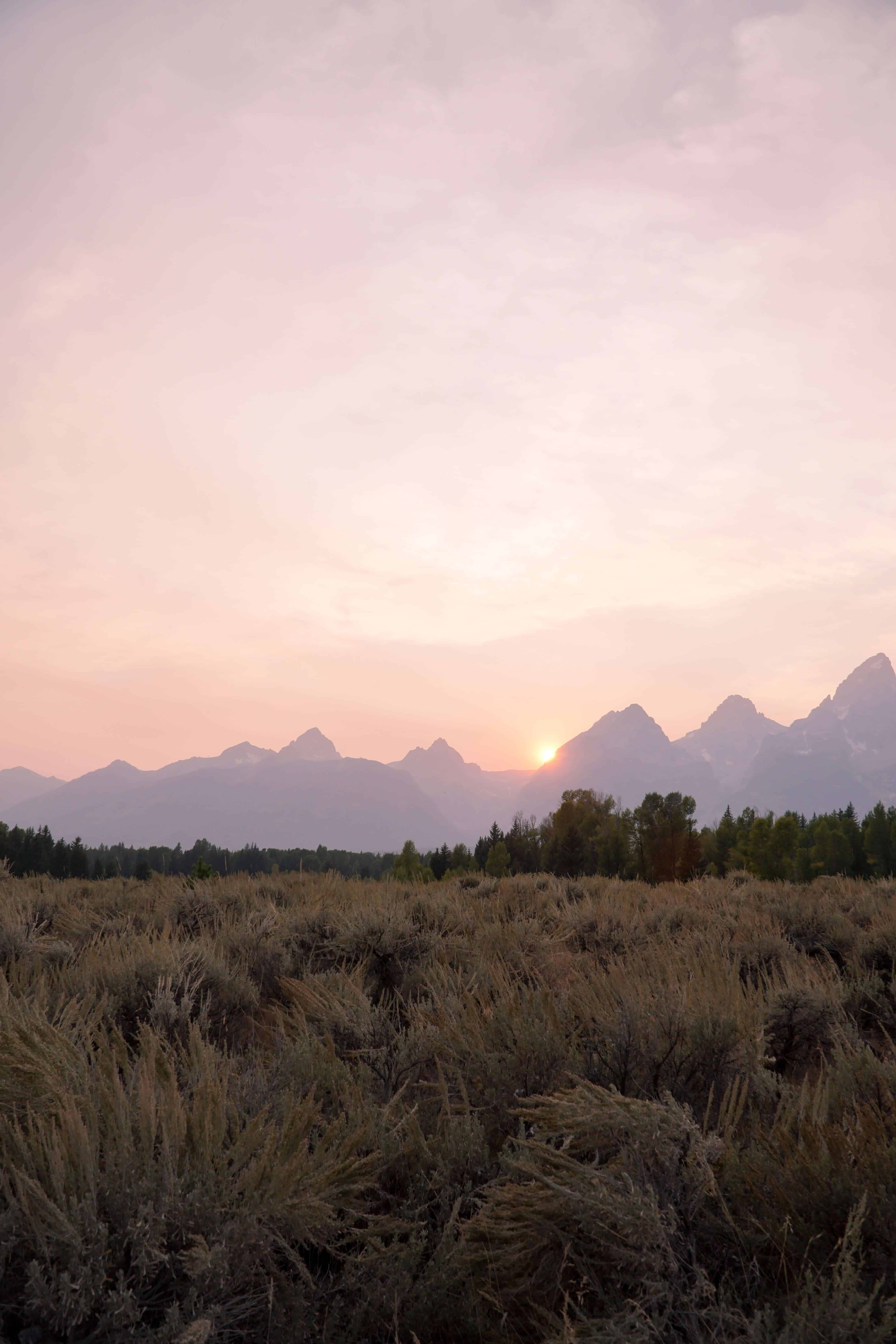 GUIDE TO JACKSON HOLE IN THE SUMMER | The Republic of Rose | #Travel #Jackson #JacksonHole #Wyoming