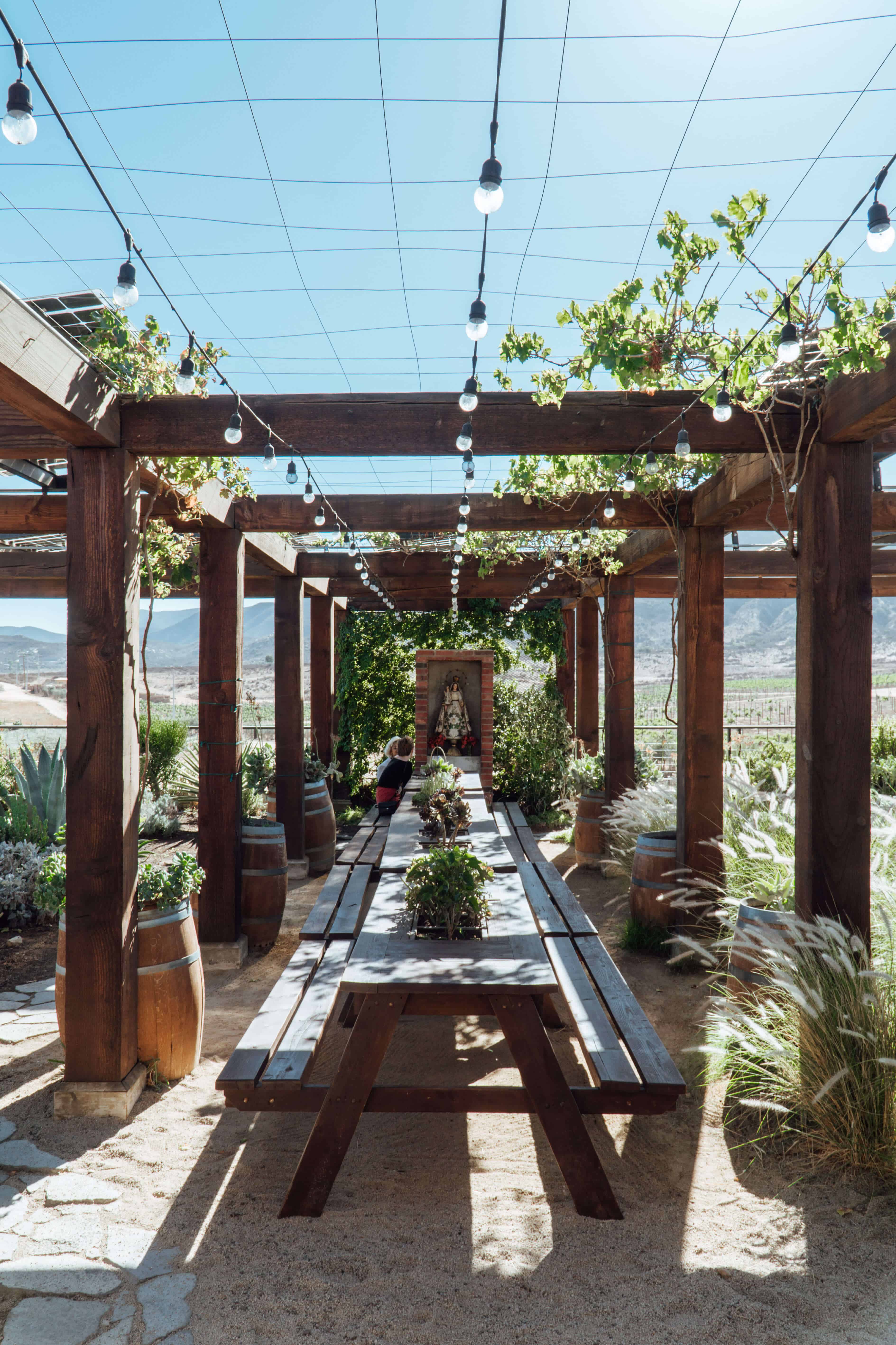 Ultimate Guide to Valle de Guadalupe | Finca la Carrodilla | The Republic of Rose | #ValleDeGuadalupe #RutaDelVino #Baja #Mexico #Ensenada