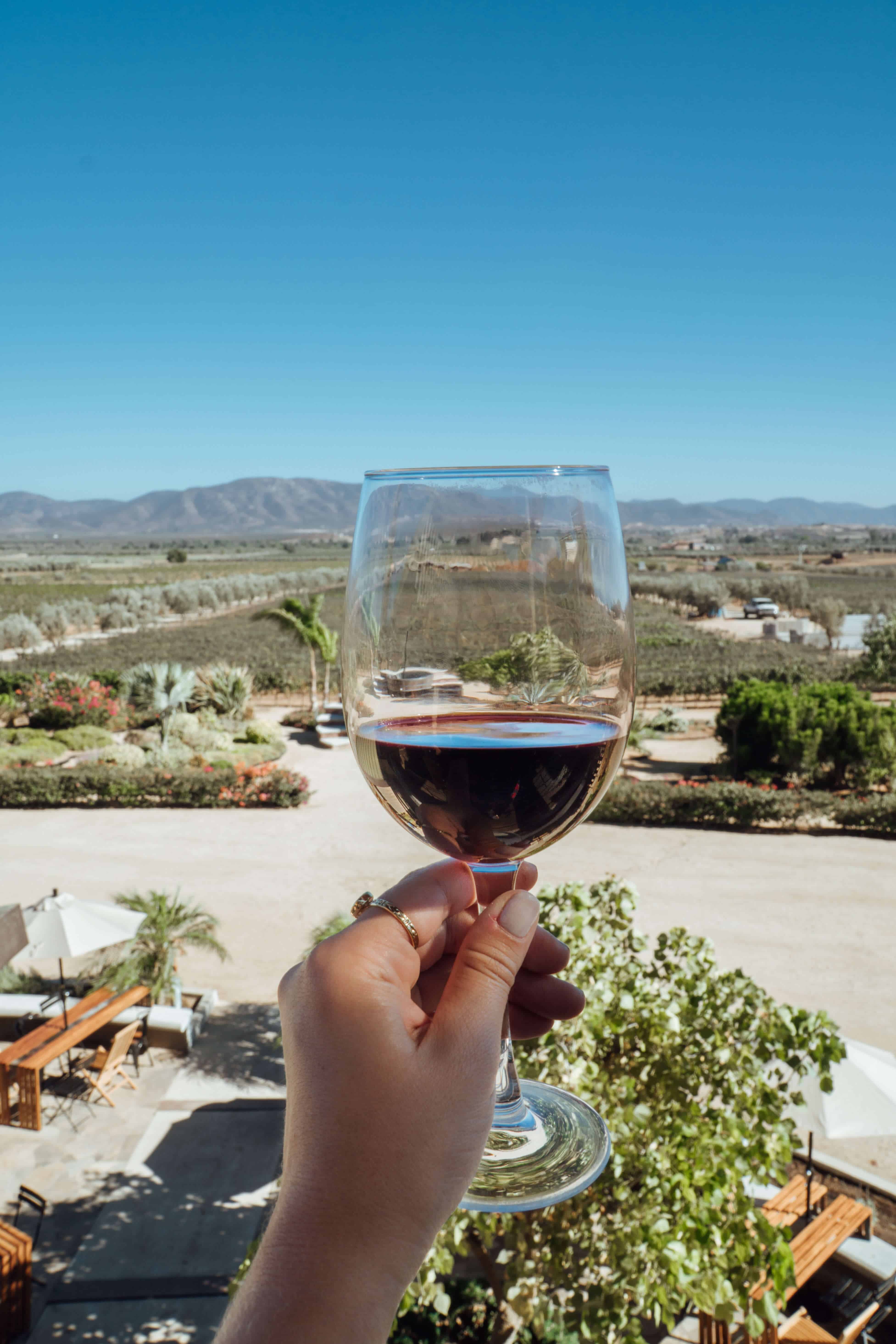 Ultimate Guide to Valle de Guadalupe | Finca la Carrodilla | The Republic of Rose | #ValleDeGuadalupe #RutaDelVino #Baja #Mexico #Ensenada