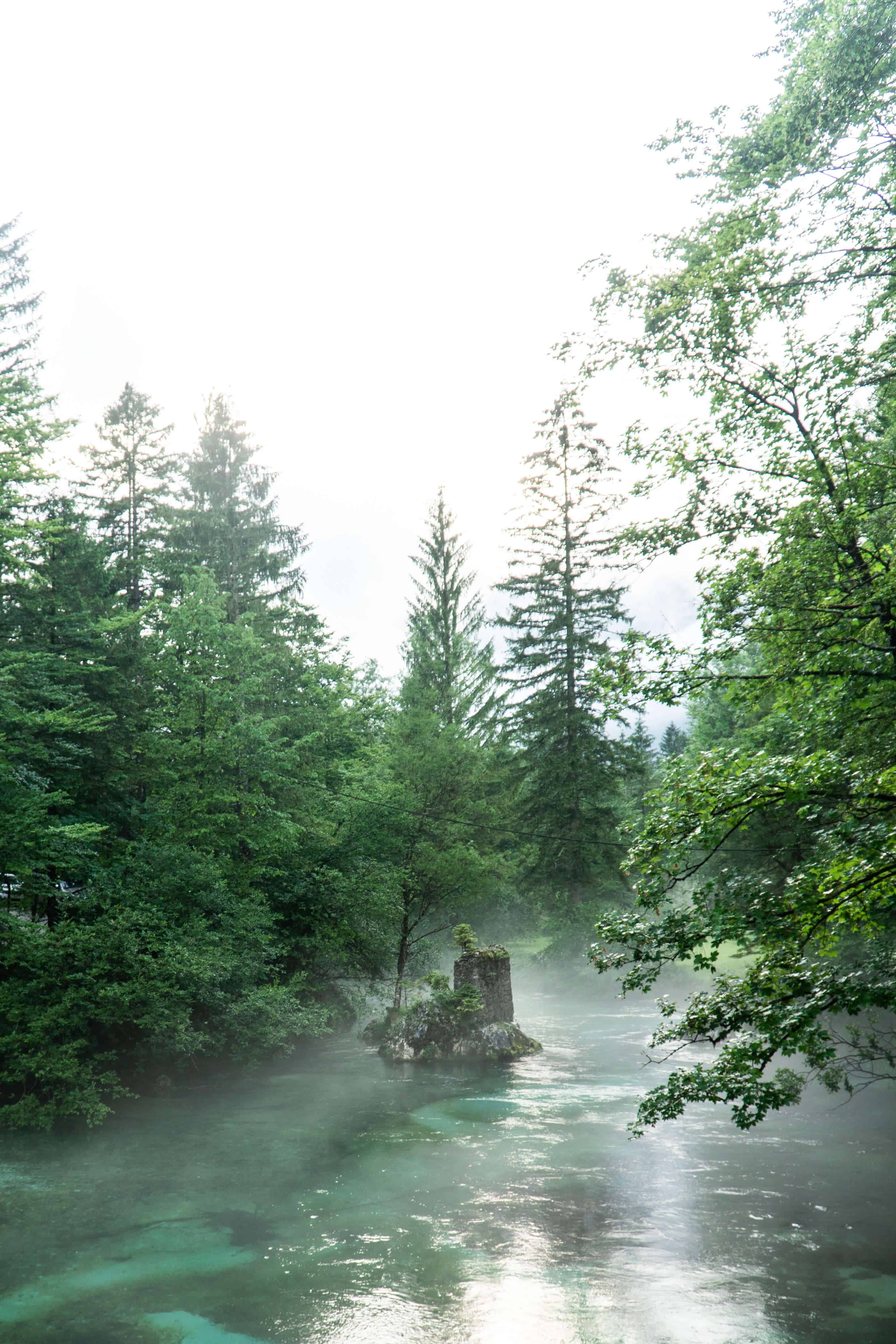 The Ultimate Guide to Lake Bohinj Slovenia | View of the river | The Republic of Rose | #Slovenia #Bohinj #LakeBohinj #Europe #Travel