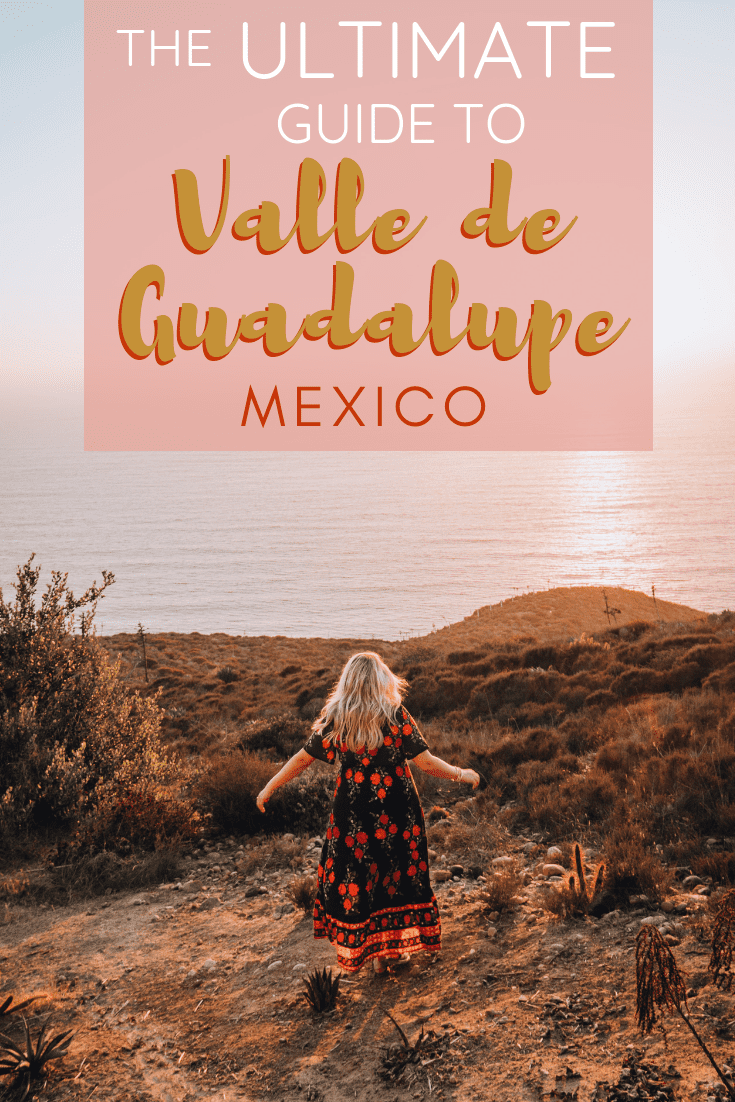 Ultimate Guide to Valle de Guadalupe | The Republic of Rose | #ValleDeGuadalupe #Baja #Mexico #Ensenada #RutaDelVino