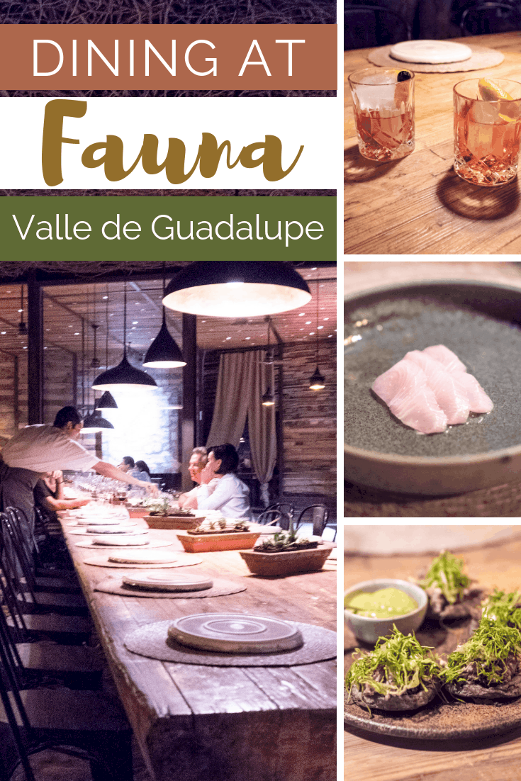 DINING AT FAUNA IN VALLE DE GUADALUPE | The Republic of Rose | #ValleDeGuadalupe #Baja #Mexico #Fauna #Bruma #RutaDelVino #Ensenada