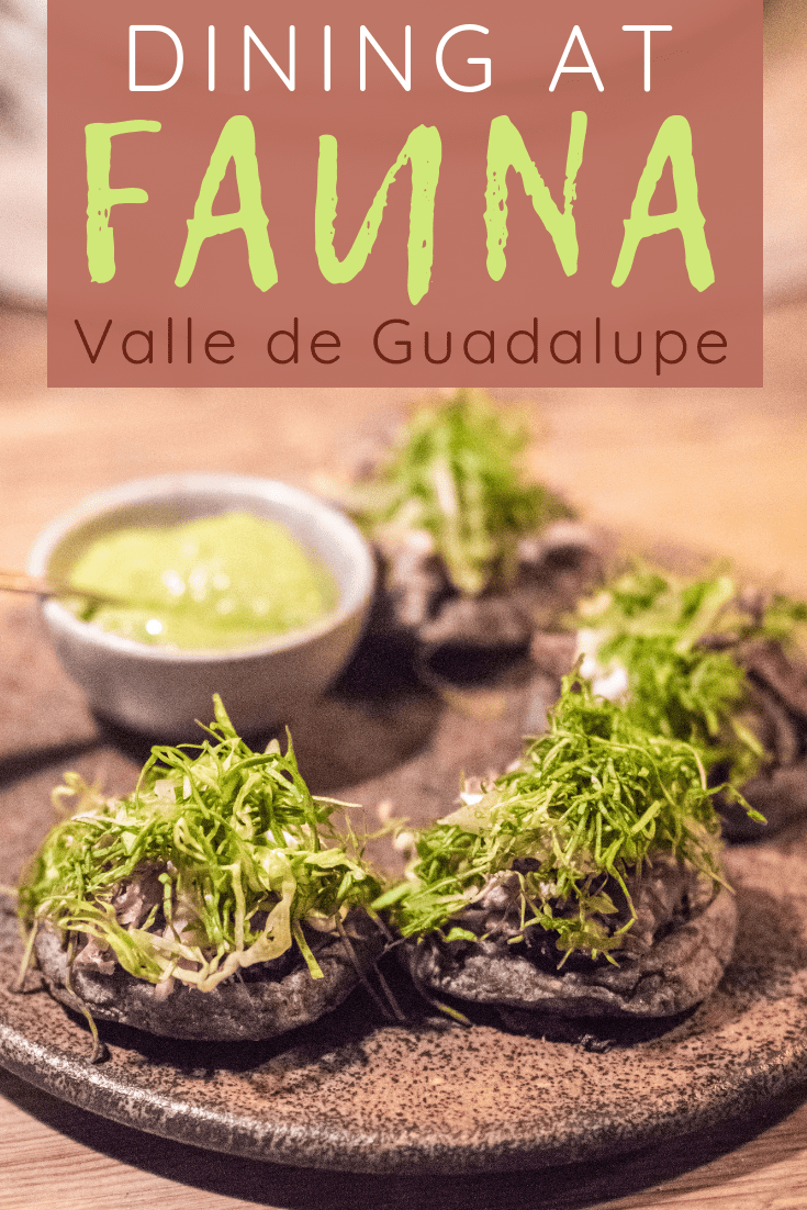 DINING AT FAUNA IN VALLE DE GUADALUPE | The Republic of Rose | #ValleDeGuadalupe #Baja #Mexico #Fauna #Bruma #RutaDelVino #Ensenada