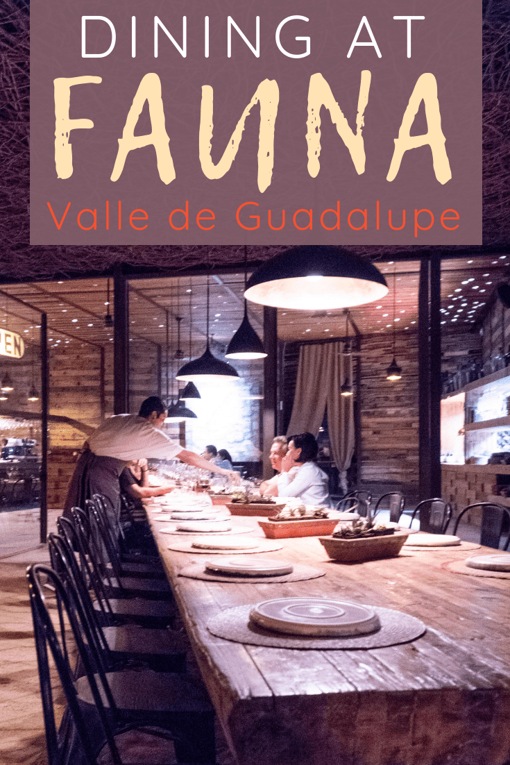 DINING AT FAUNA IN VALLE DE GUADALUPE | The Republic of Rose | #ValleDeGuadalupe #Baja #Mexico #Fauna #Bruma #RutaDelVino #Ensenada