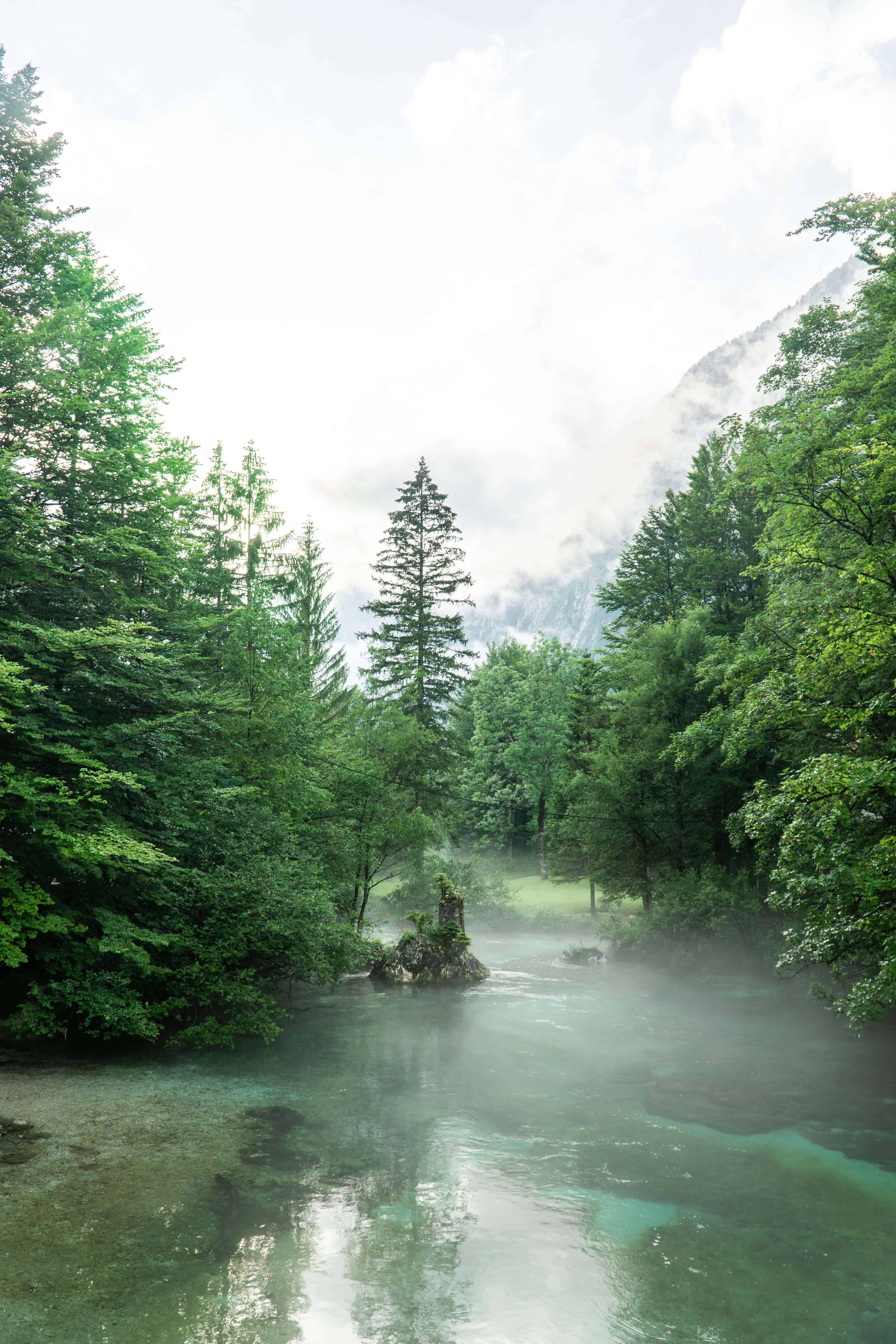 Slovenia in 20 Photos | Lake Bohinj | The Republic of Rose | #Slovenia #LakeBohinj #Bohinj #LakeBled #Bled #Europe #Ljublana #Travel