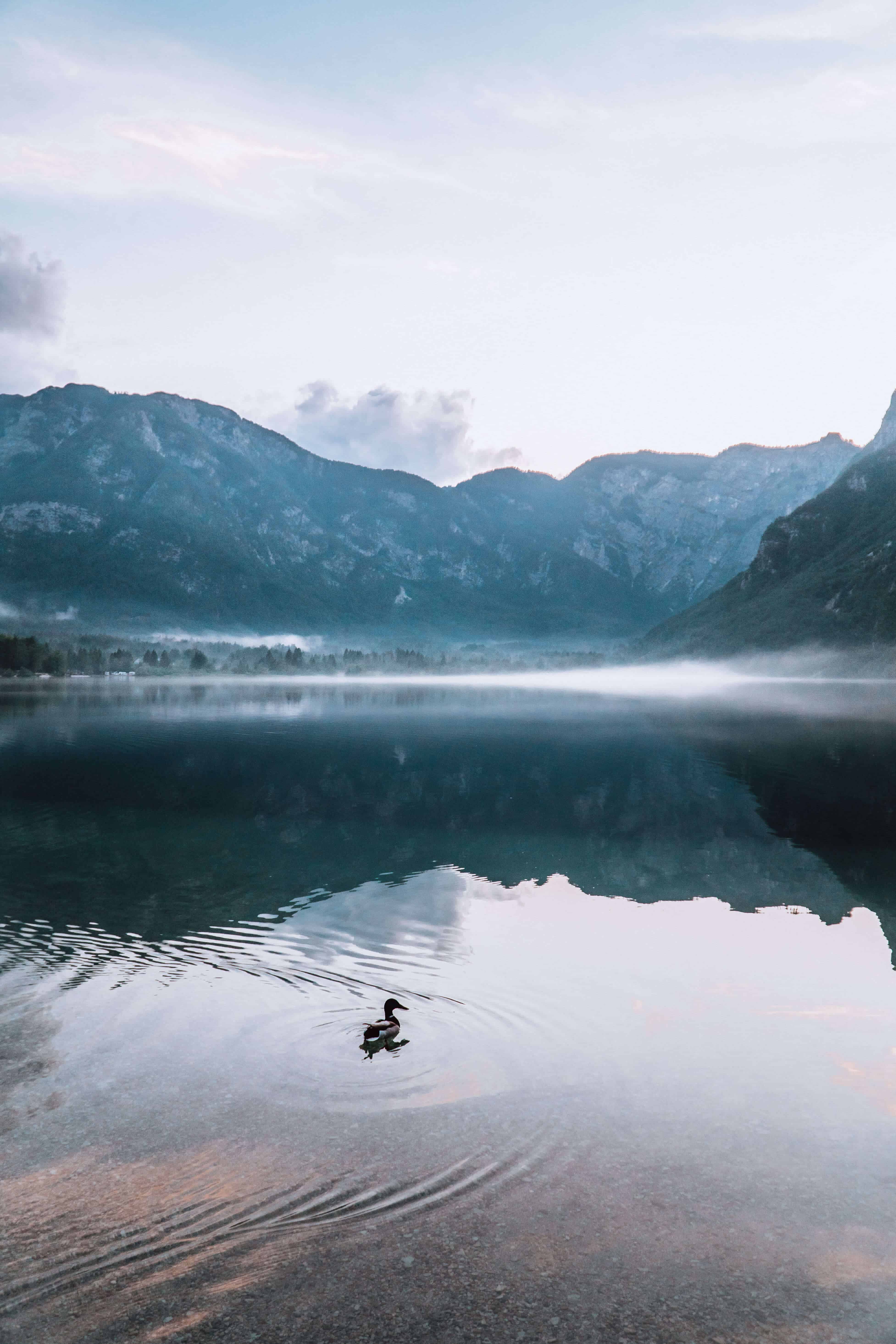 Slovenia in 20 Photos | Lake Bohinj | The Republic of Rose | #Slovenia #LakeBohinj #Bohinj #LakeBled #Bled #Europe #Ljublana #Travel