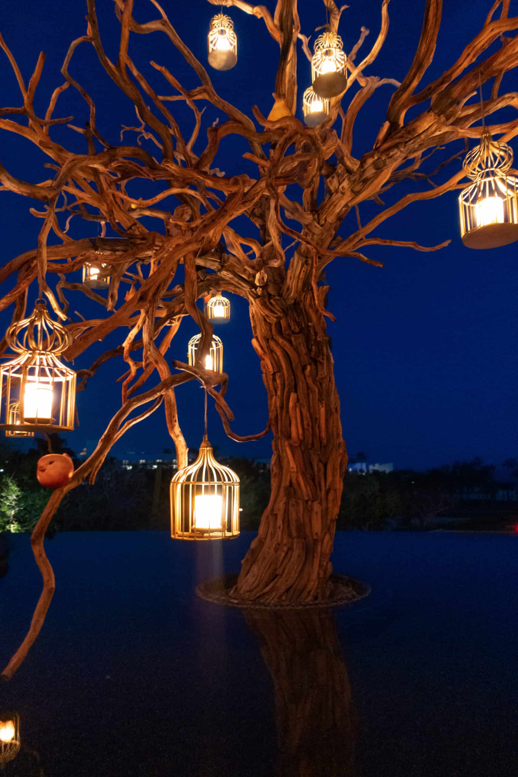 Lanterns at Arbol at Las Ventanas Los Cabos