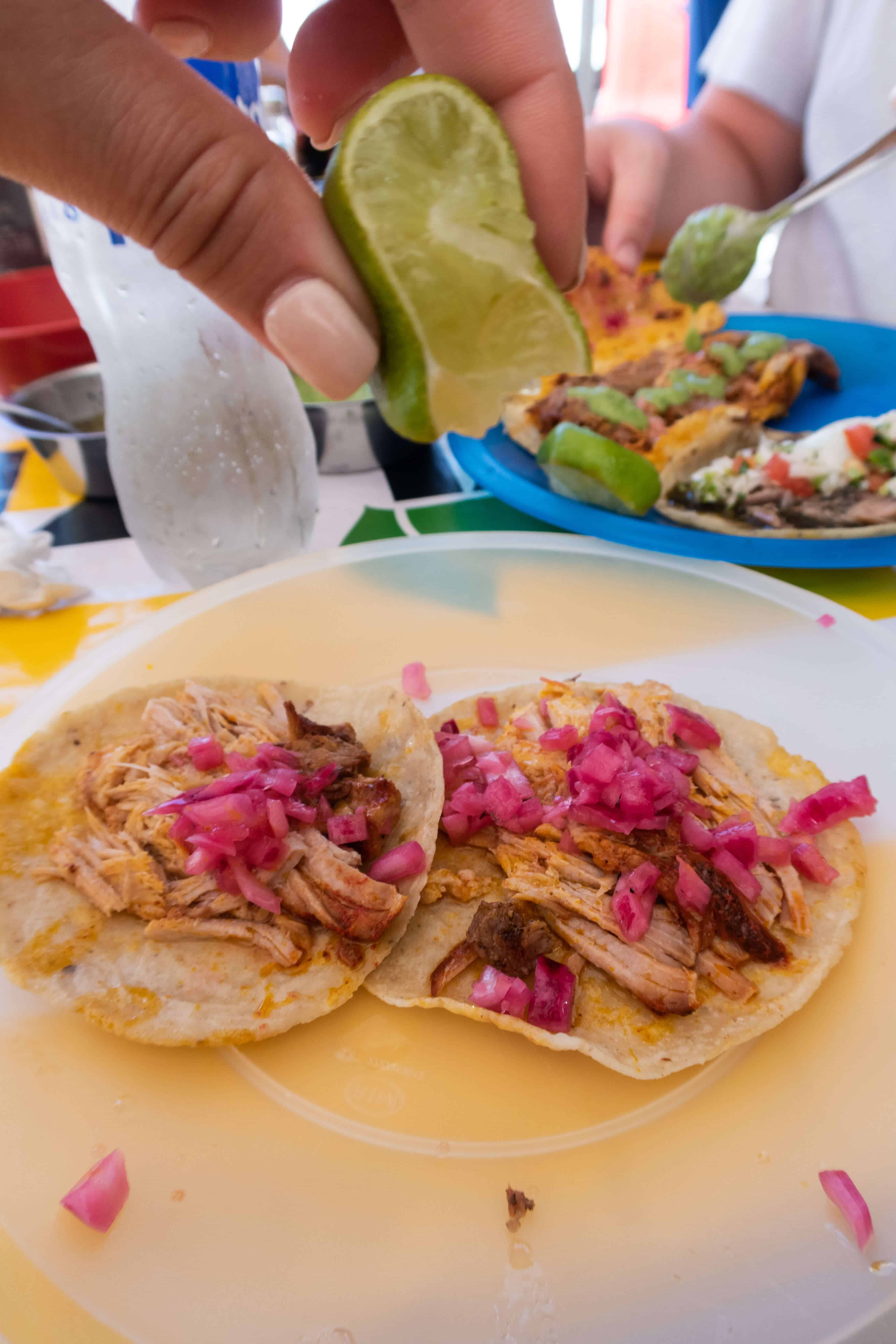 Conchinita Pibil Tacos at Honorio | TULUM IN 20 PHOTOS | The Republic of Rose | #Tulum #Mexico