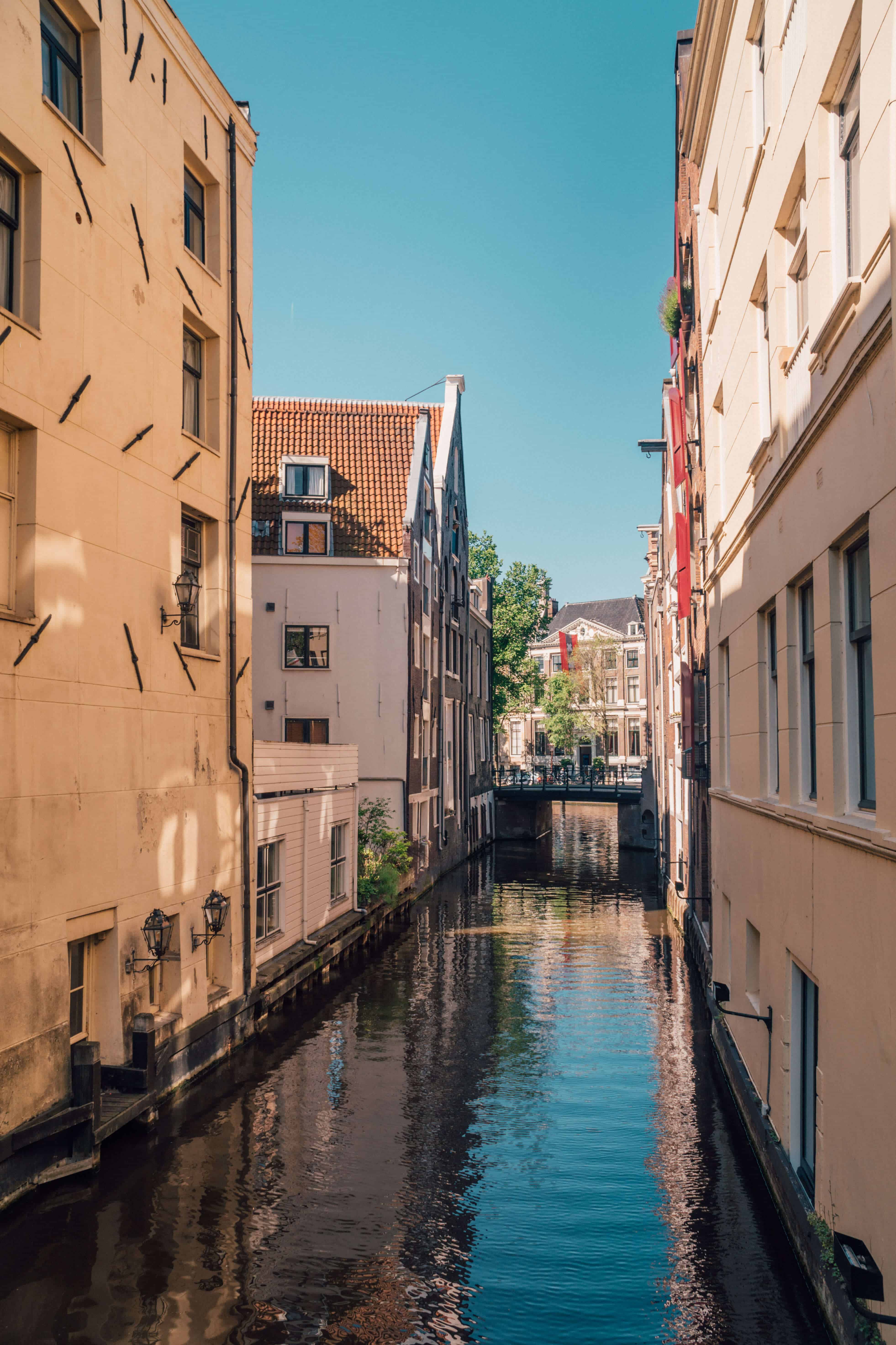 View of the canal | HOW TO EXPLORE AMSTERDAM BY BOAT | The Republic of Rose