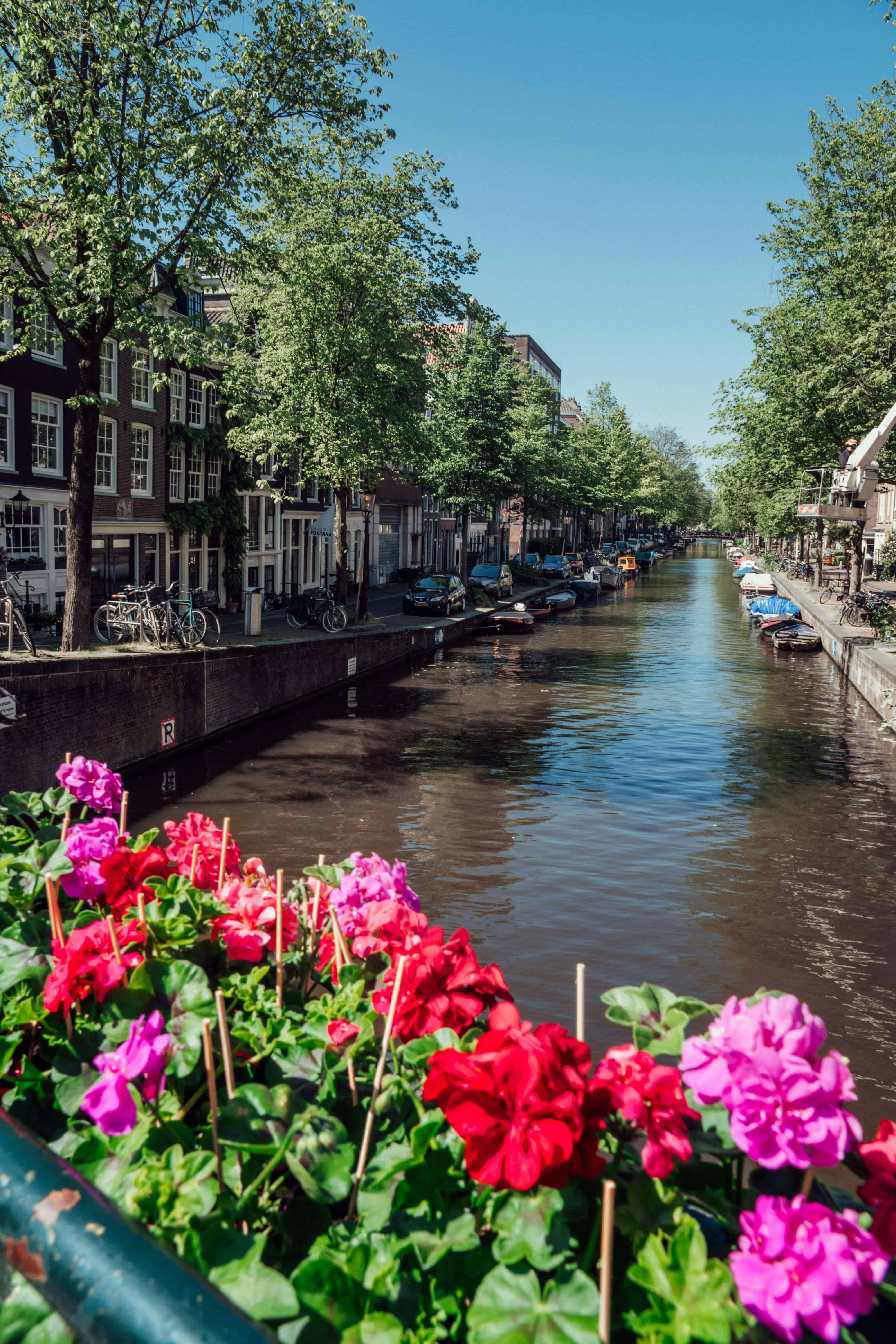 View of the canal | HOW TO EXPLORE AMSTERDAM BY BOAT | The Republic of Rose